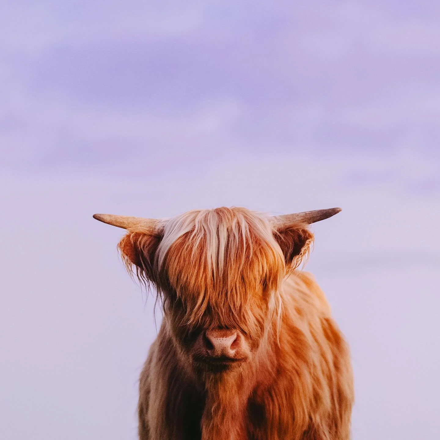 Moments at dusk π«ΆπΌ