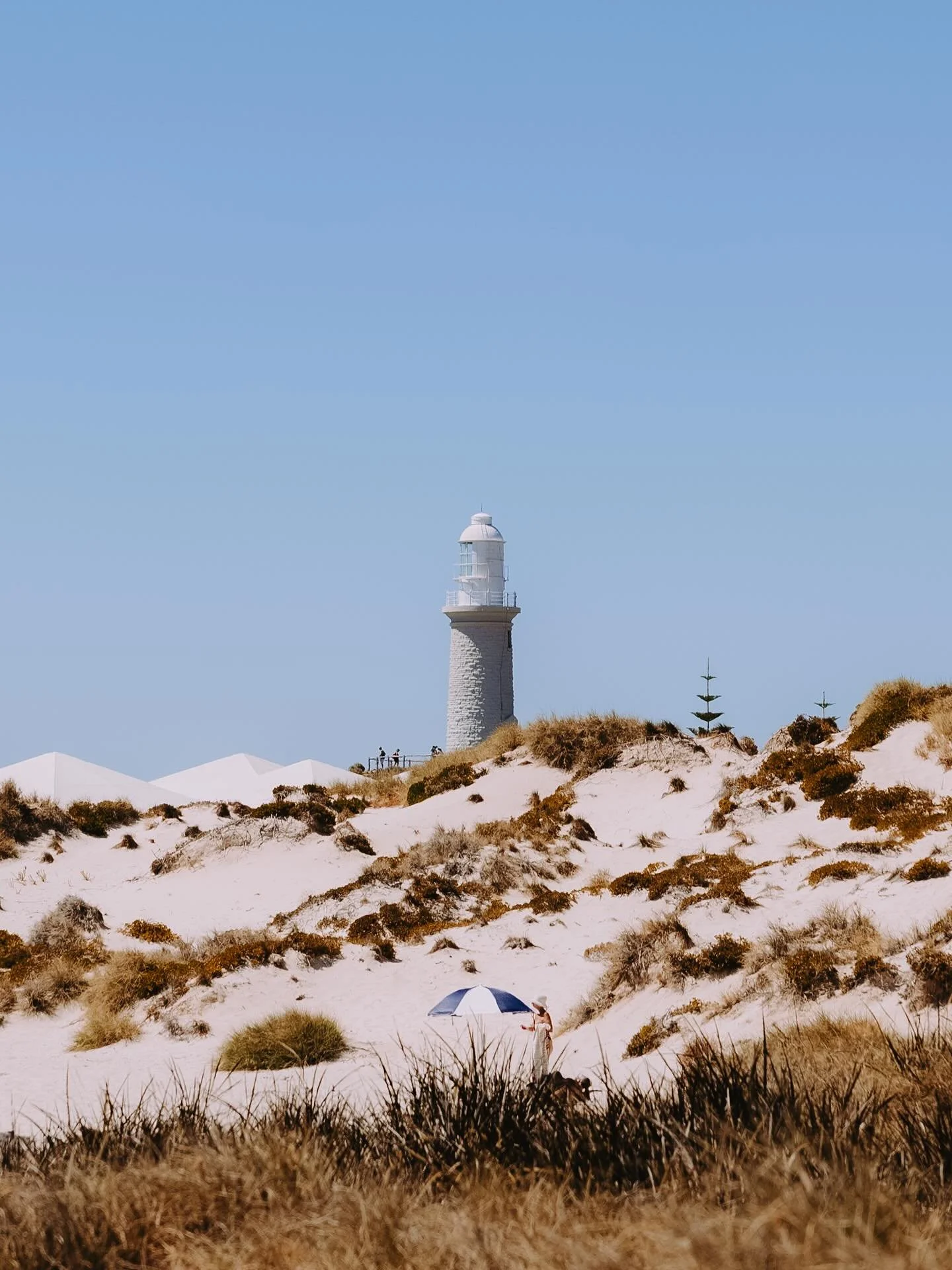 Colours of Rotto 🫶🏼 @rottnestislandwa