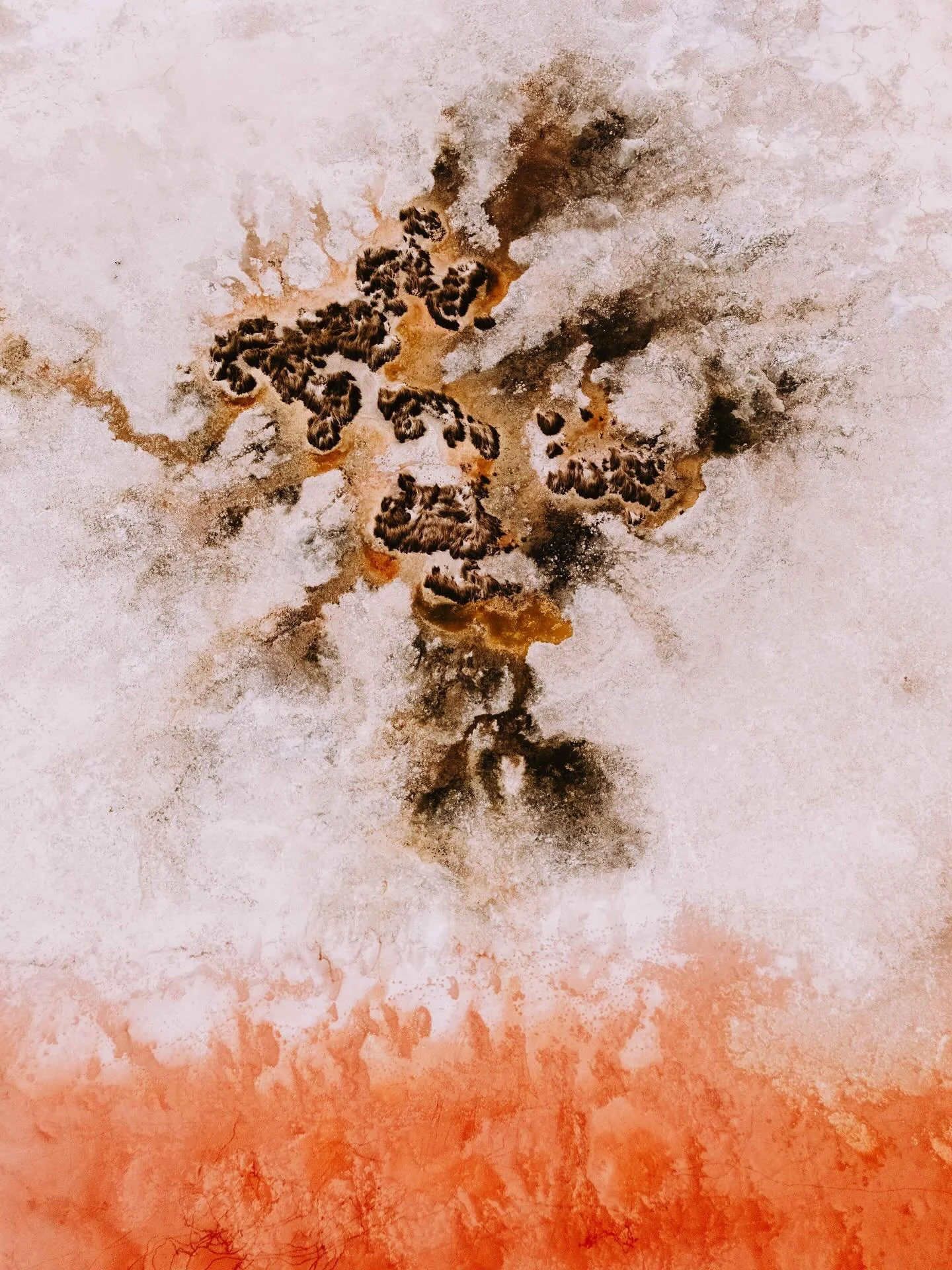 The Art of Mother Nature ✨