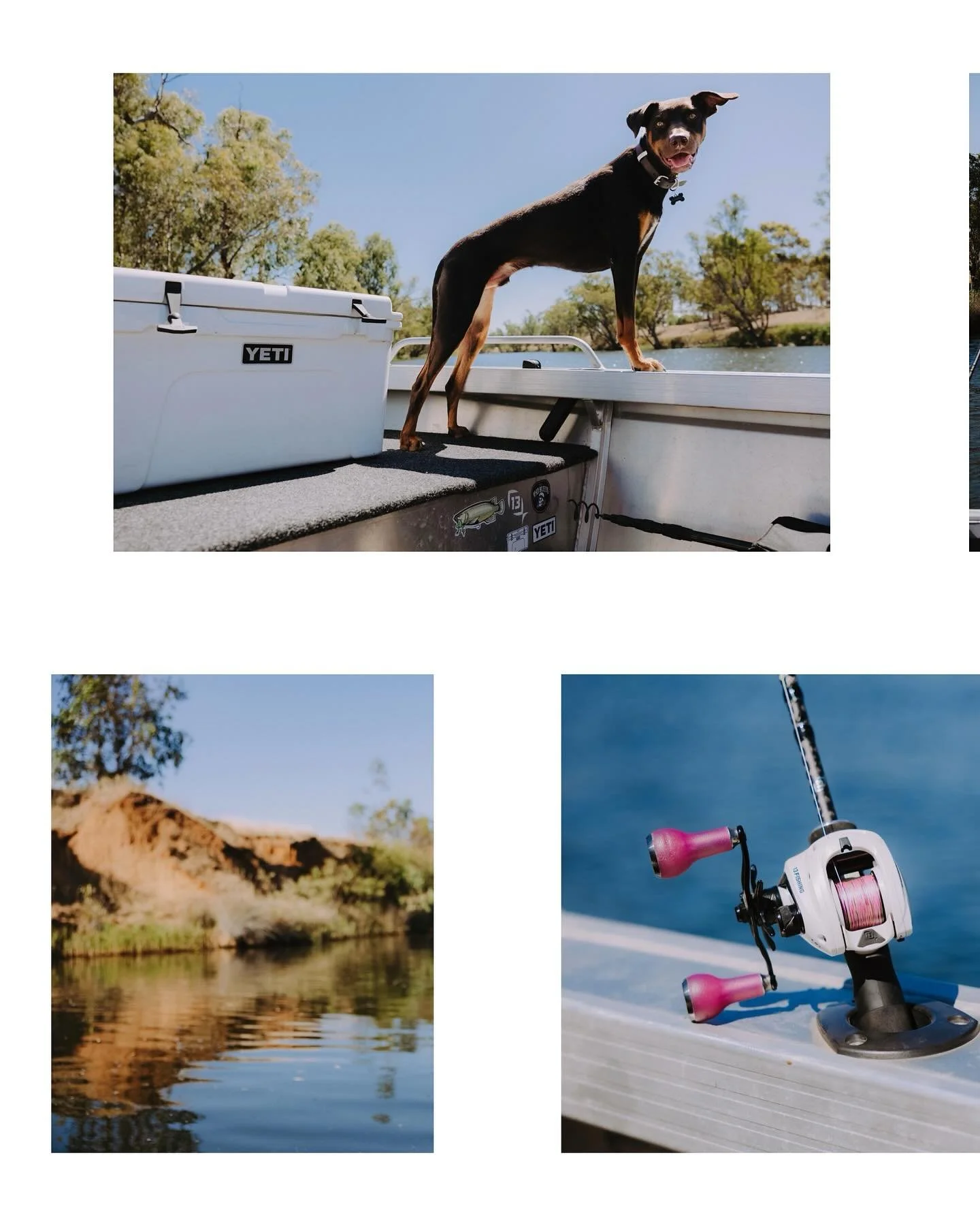 Catching nothing but a good time 🫶🏼🌿✨🐾