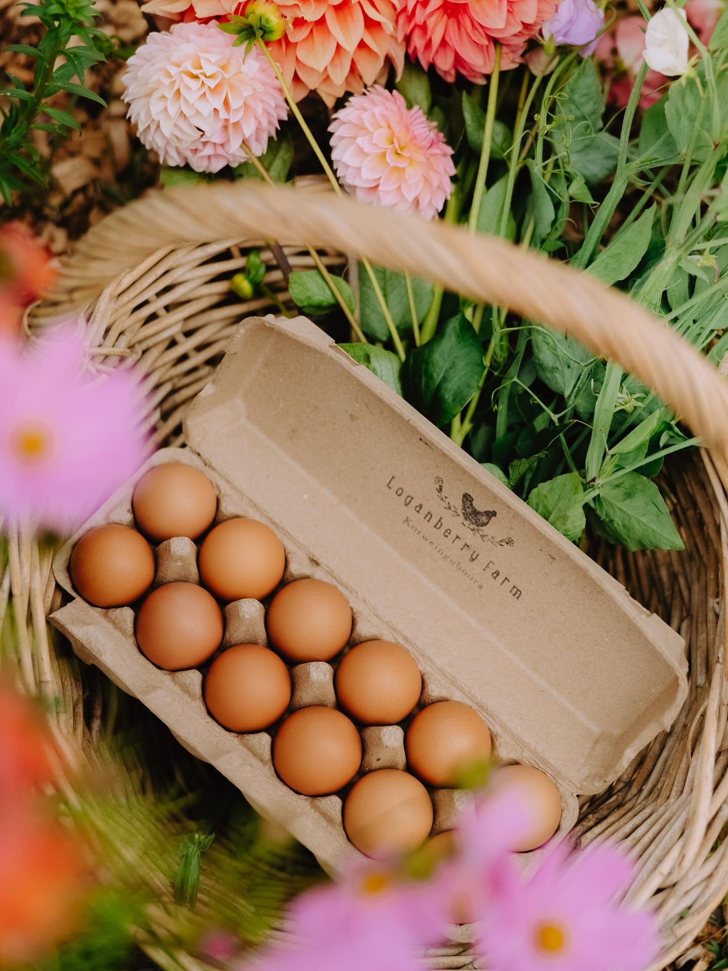 The last glitterings of Summer moments .. @sault_daylesford ✨🌺🍷