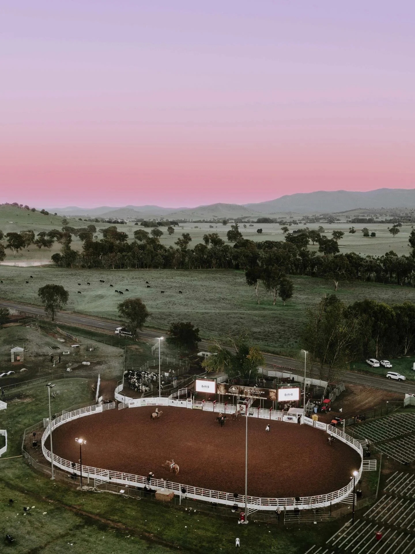 Mornings of magic and gold.. ✨

A few moments from this mornings stockmans cutout sponsored by S&amp;K Whitehead Earthmoving🐴
 
📸 Photo by @_chloesmithphotography_ 
 
@mfsr_bushfestival 
🗓️ 16 - 19  April, 2026
📍 Man from Snowy River Bush Festiva