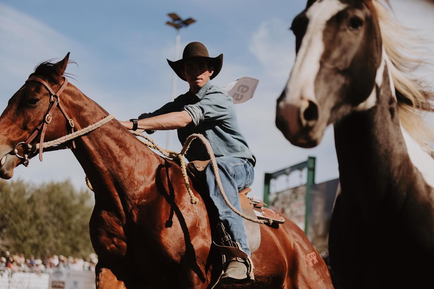 All the action at the wild horse catch thanks  to @yendaprods 

📸 Photo by @_chloesmithphotography_ 
 

@mfsr_bushfestival 
🗓️ 16 - 19  April, 2026
📍 Man from Snowy River Bush Festival, Corryong VIC
 

#mfsr #mfsrbushfestival #bushfestival #corryo
