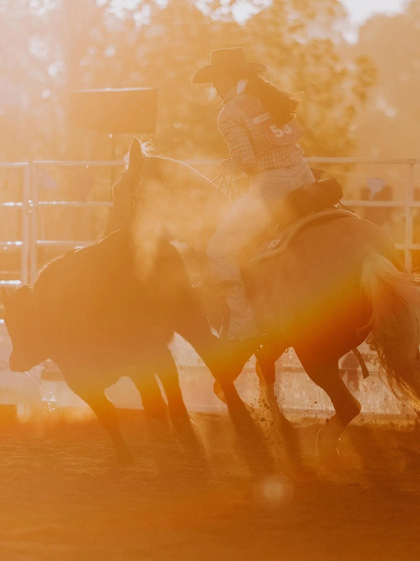 Still on such a high and deep in the edits of that magic magic light from @mfsr_bushfestival ✨ Take me back.. 🙌🏼
 
📸 Photo by @_chloesmithphotography_ 
 
@mfsr_bushfestival 
🗓️ 16 - 19  April, 2026
📍 Man from Snowy River Bush Festival, Corryong 