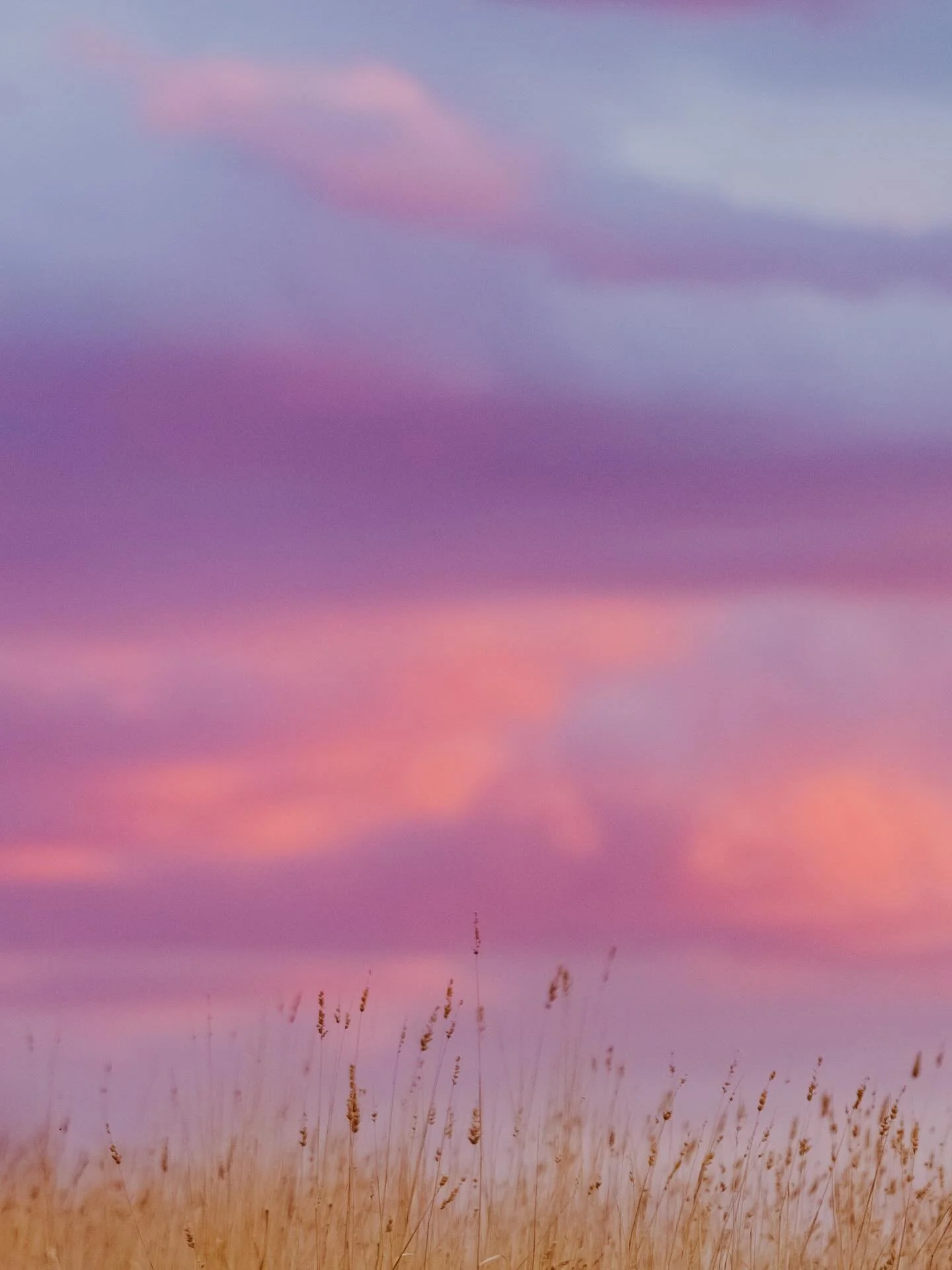 Sunday night sky diaries .. ✨🌾

How these scenes and colours were both happening at the same time blows my mind.
