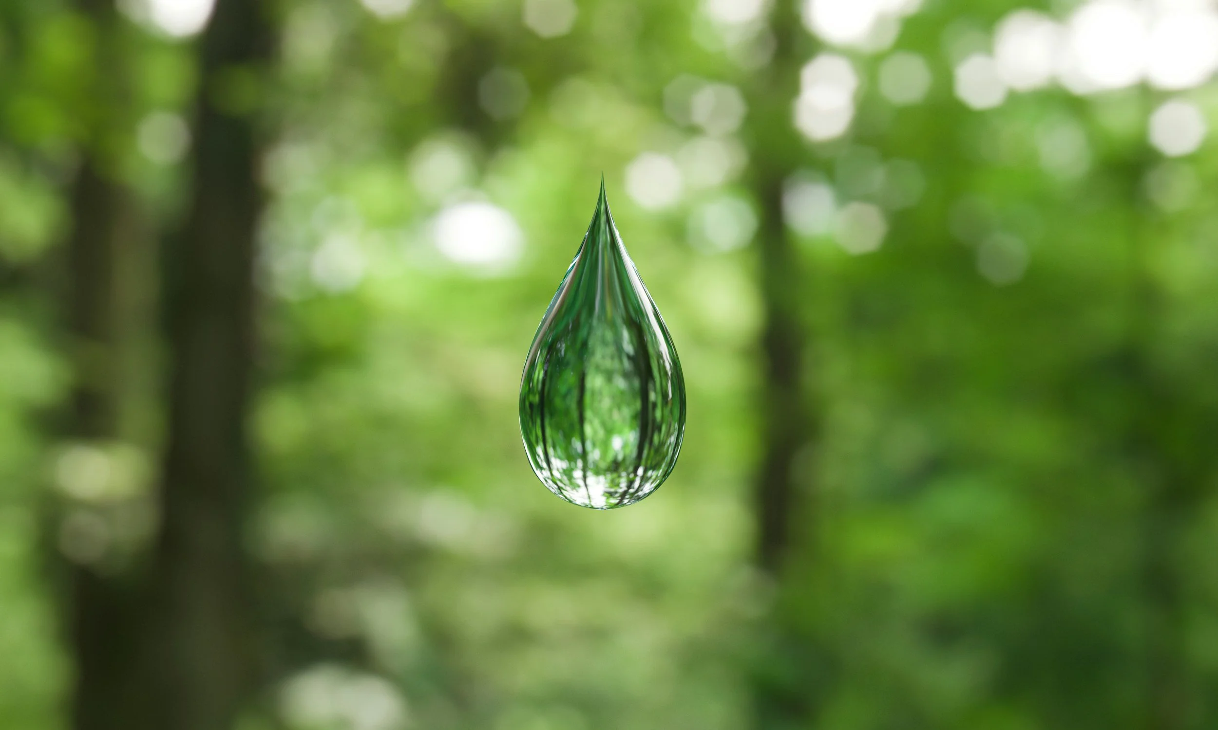 unsplash-image-aKG5MPuJbKA.jpg