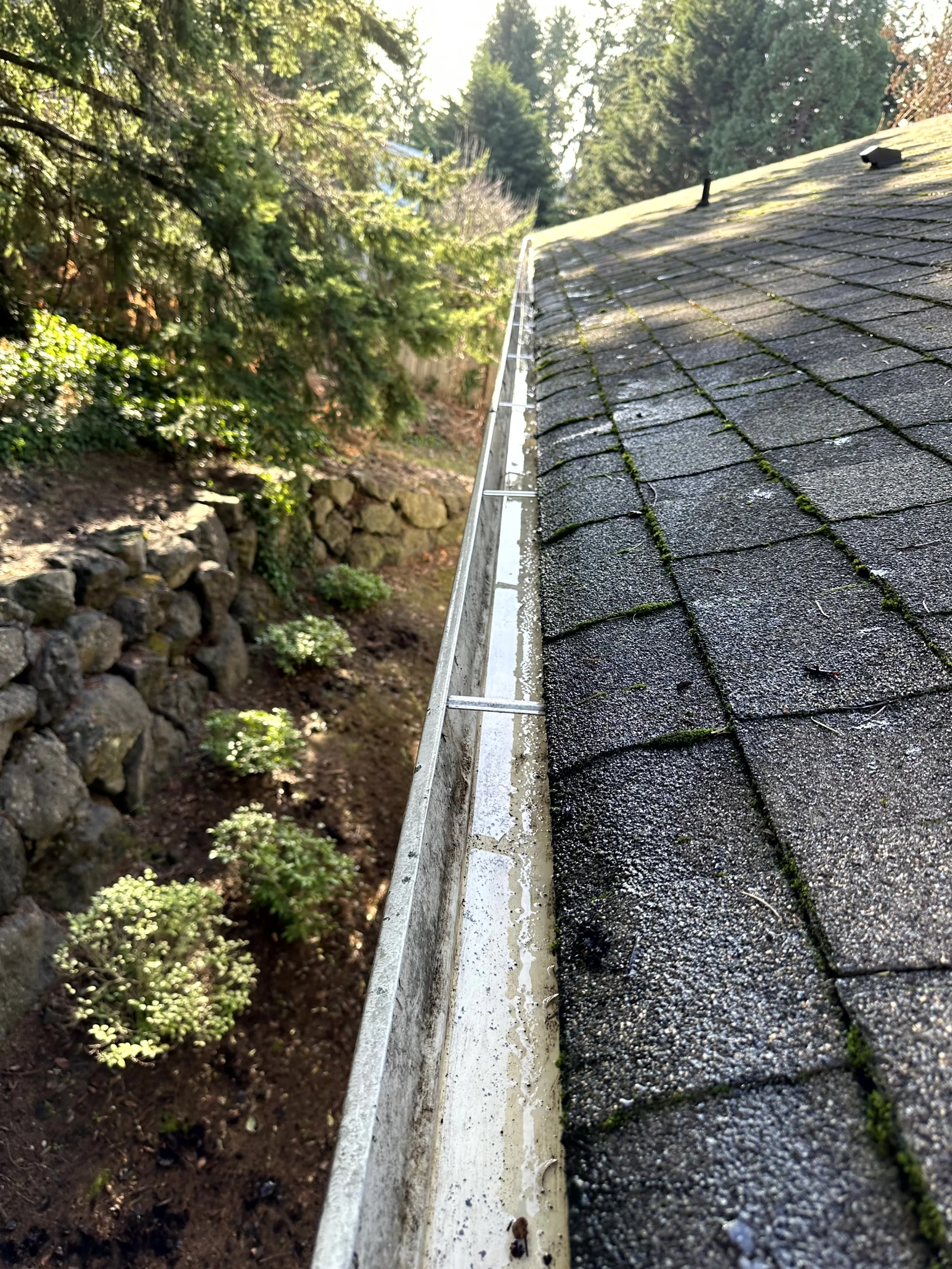 gutter cleaning