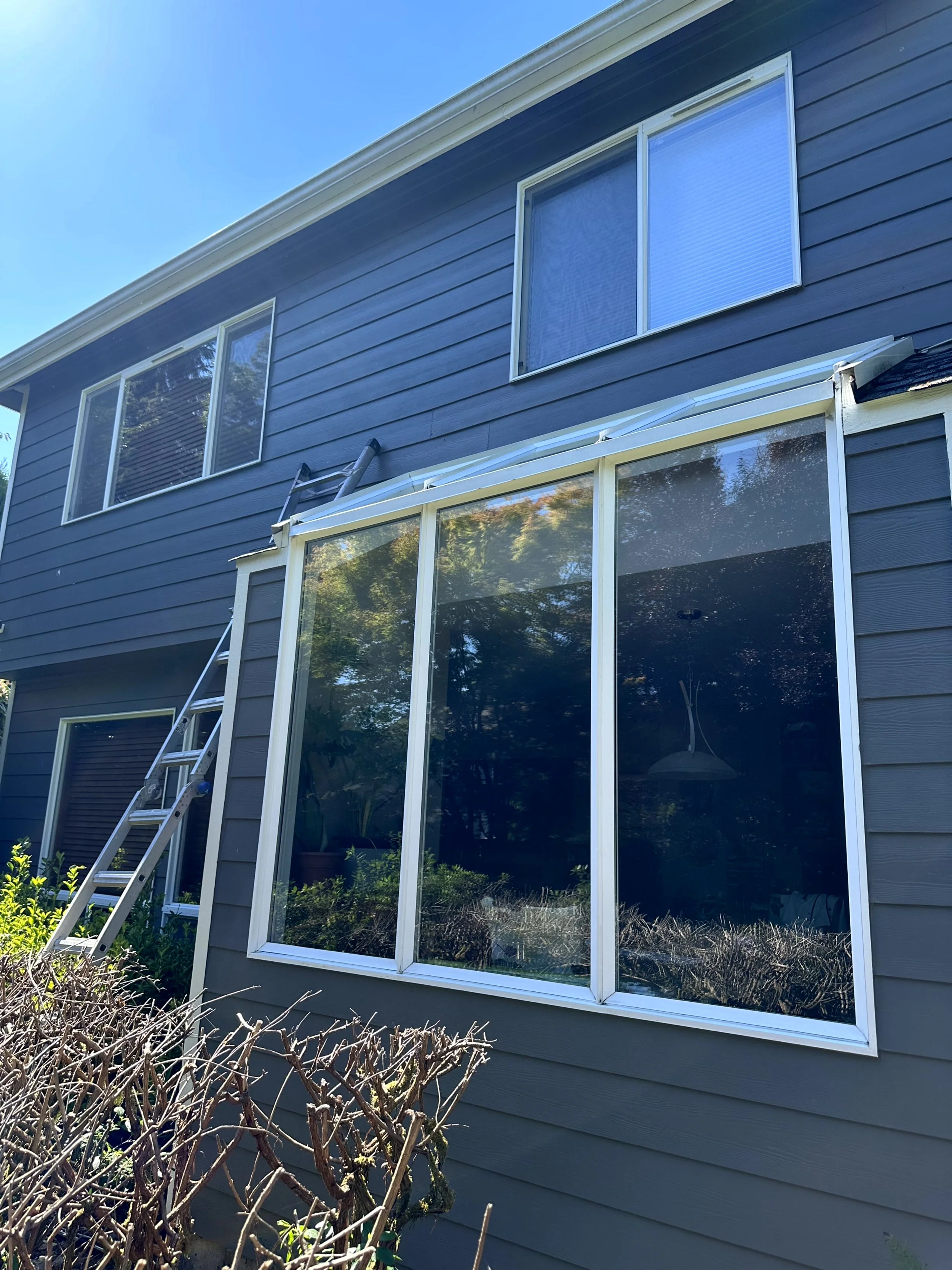window cleaning