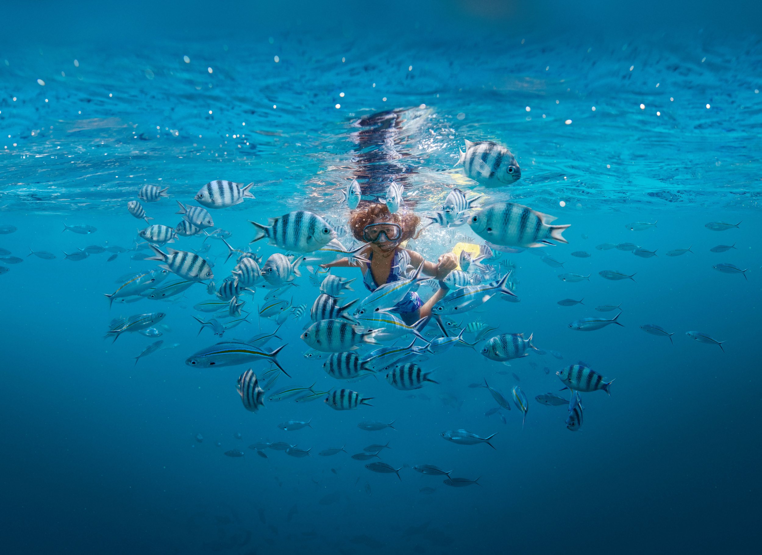 Air New Zealand Islands Sale