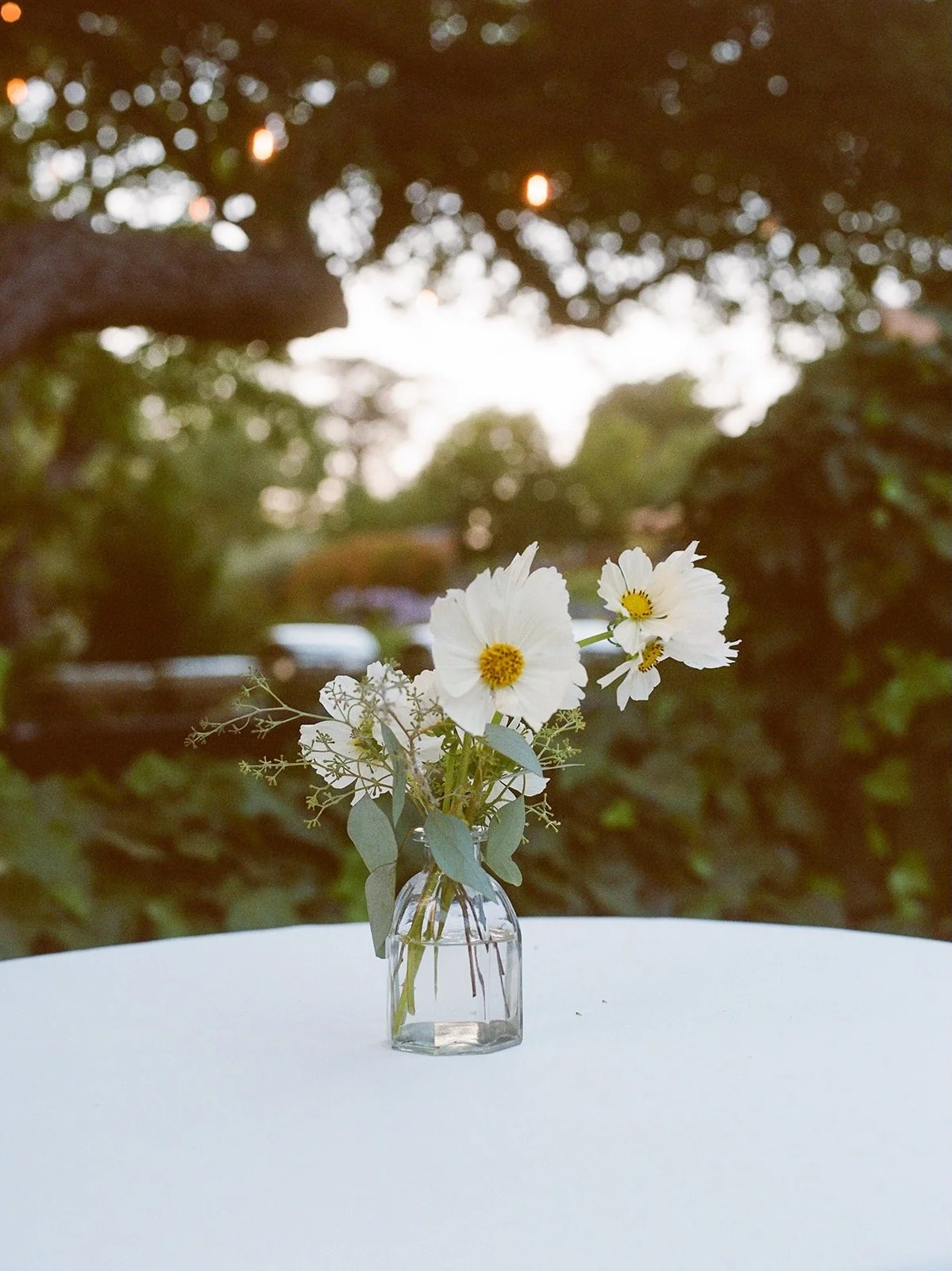 photo by Cat Coppenwrath 