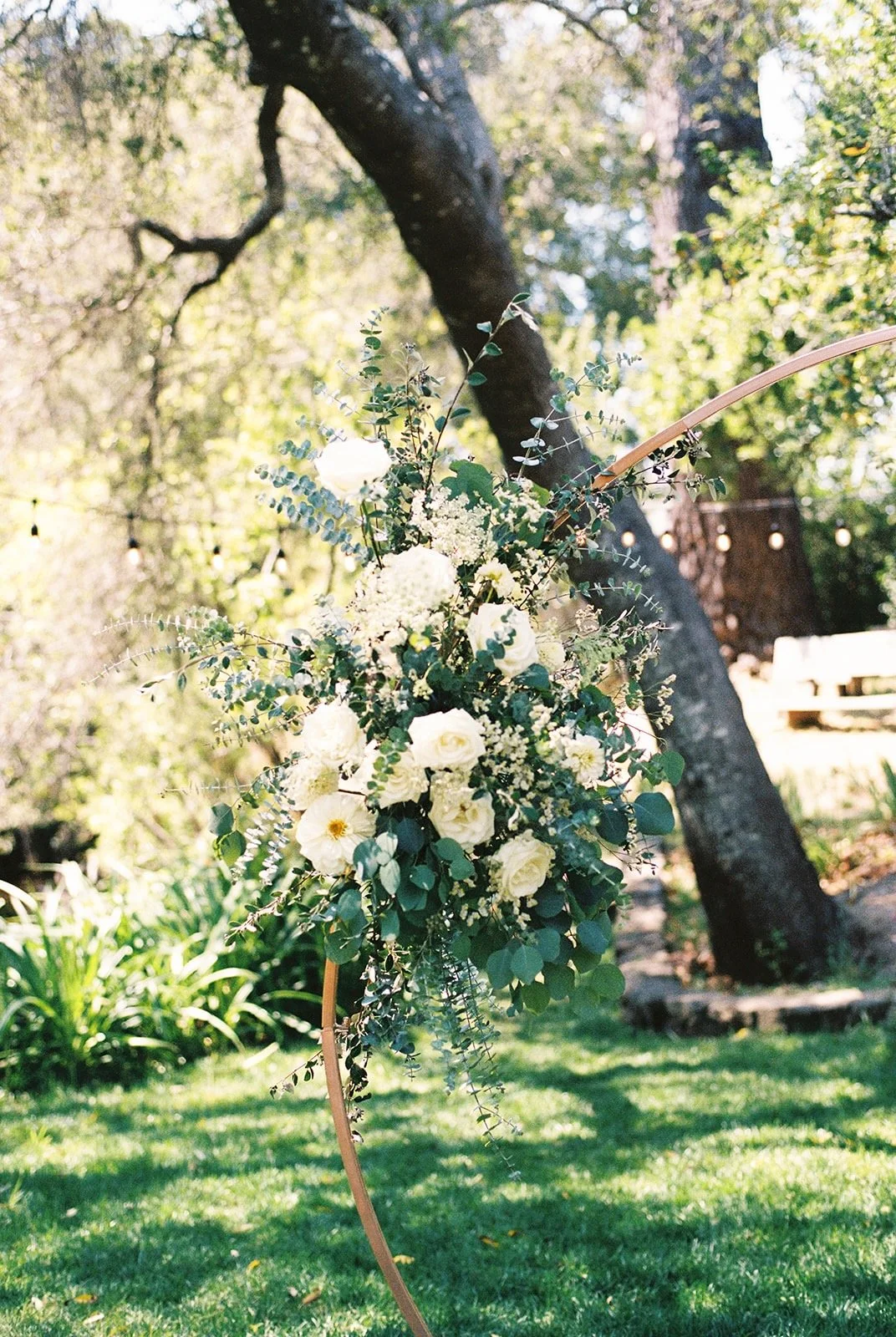 photo by Cat Coppenwrath 