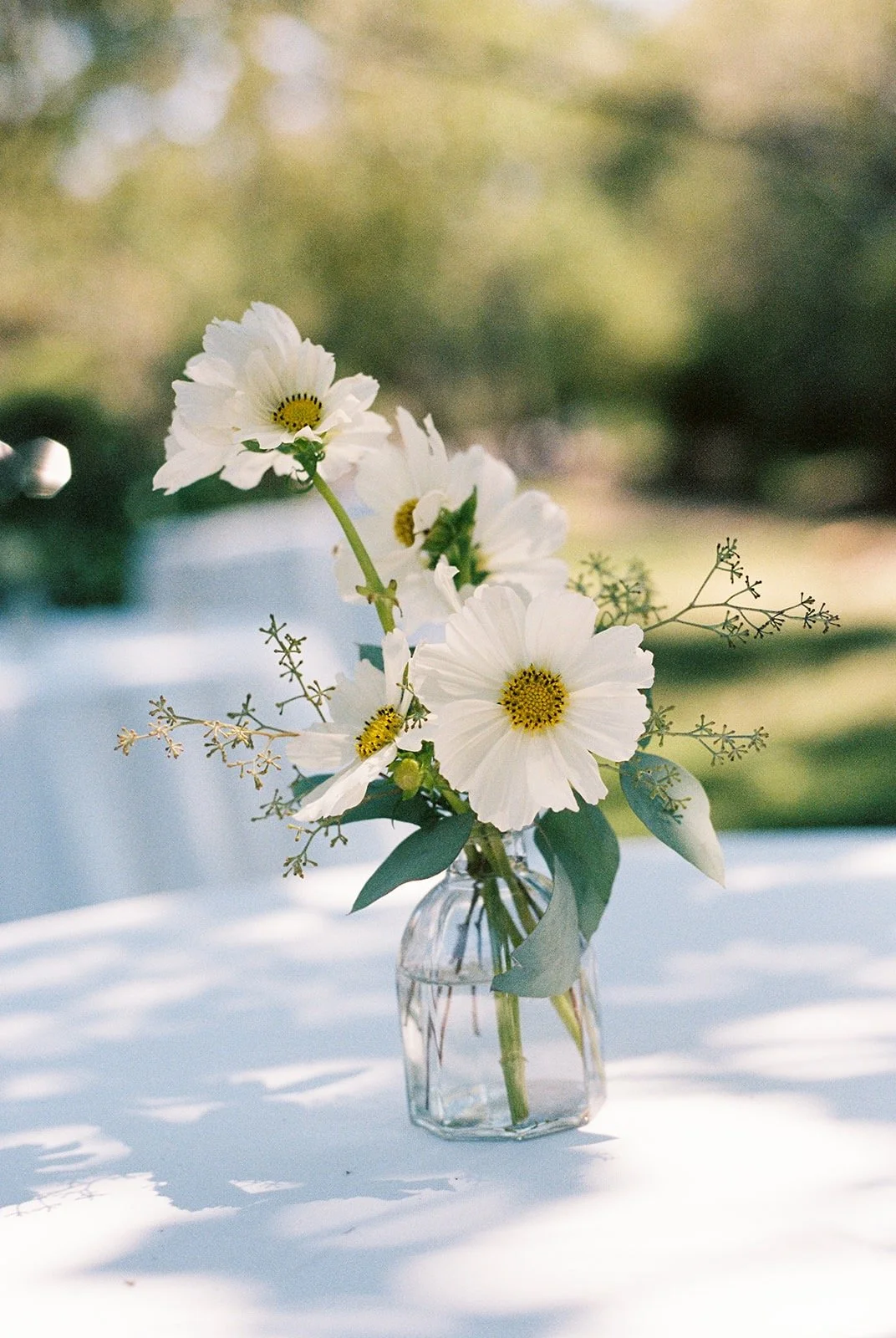 photo by Cat Coppenwrath 