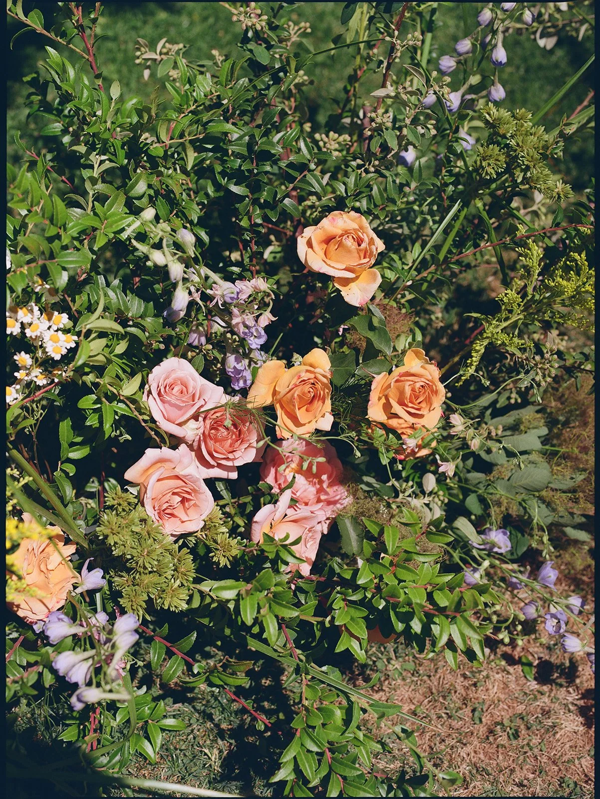 Carlee&Andrew-272_websize (1).jpg