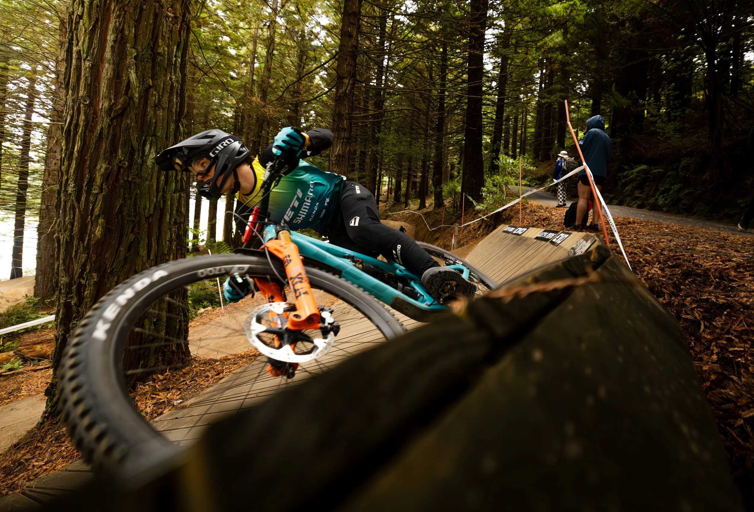 499A7842-Enhanced-NR.jpg
