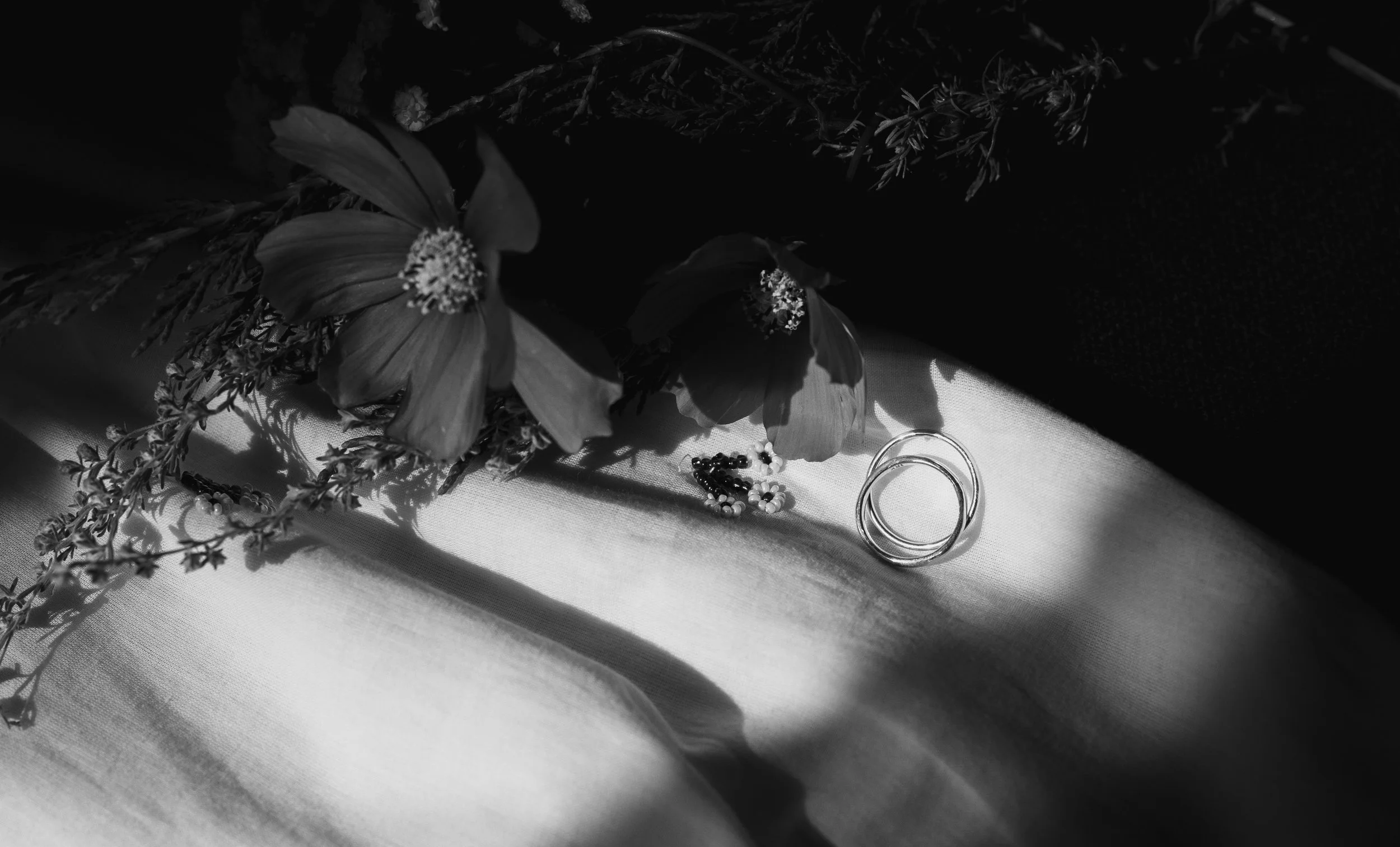 R6II7819.jpg