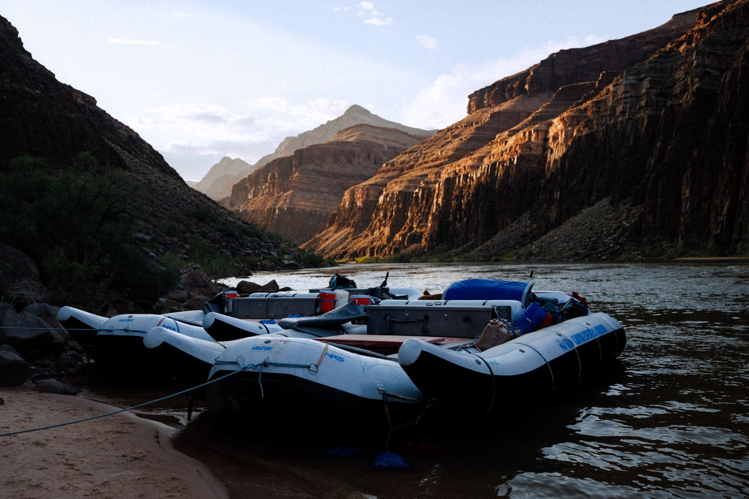 R6II9869.jpg