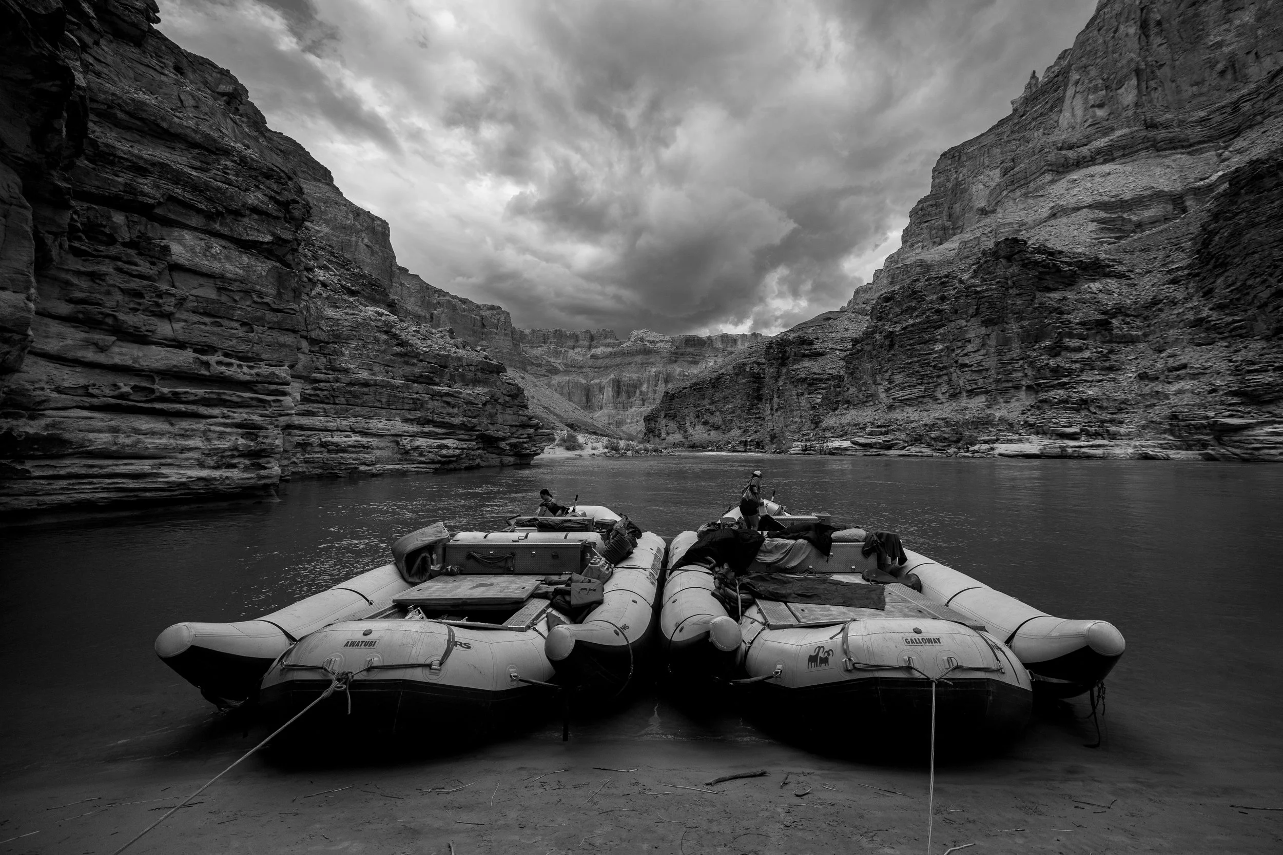 R6II6010.jpg