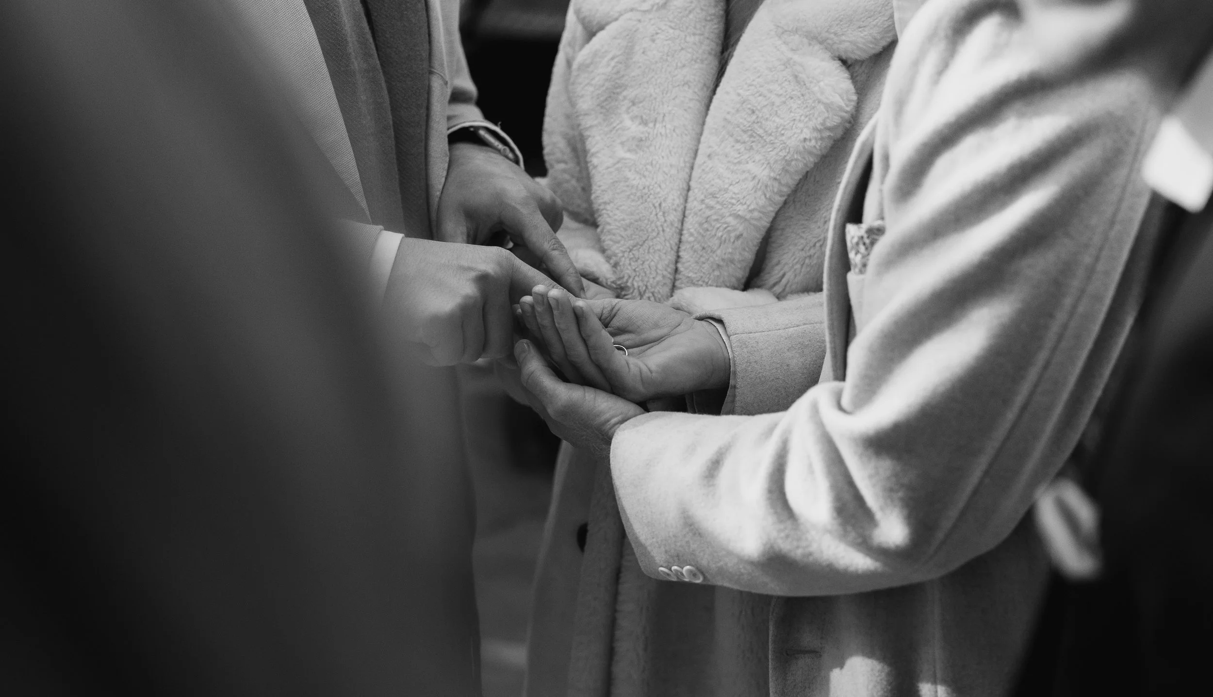 R6II2085.jpg