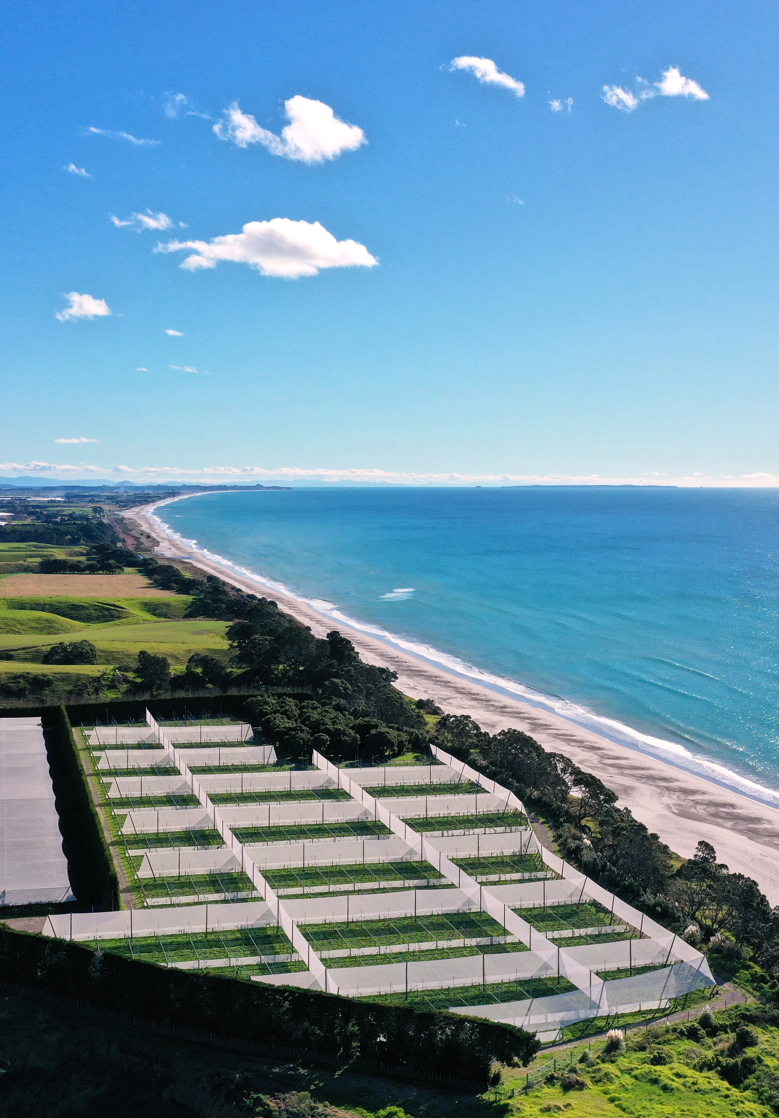 Aerial view of a coastline with a beach and the ocean on the right, grassy fields, and tennis courts enclosed by white fences in the foreground, under a blue sky with scattered clouds.