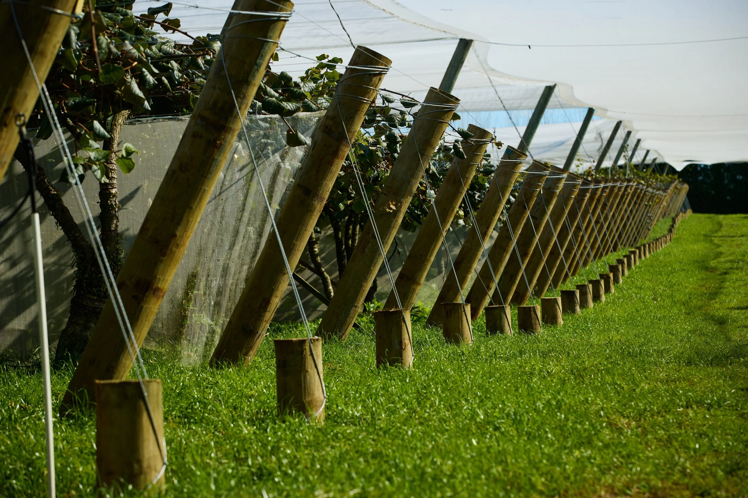 Coming soon…