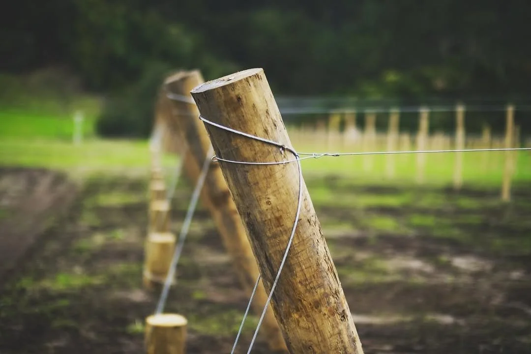 Wooden fence posts with wire, in a field.