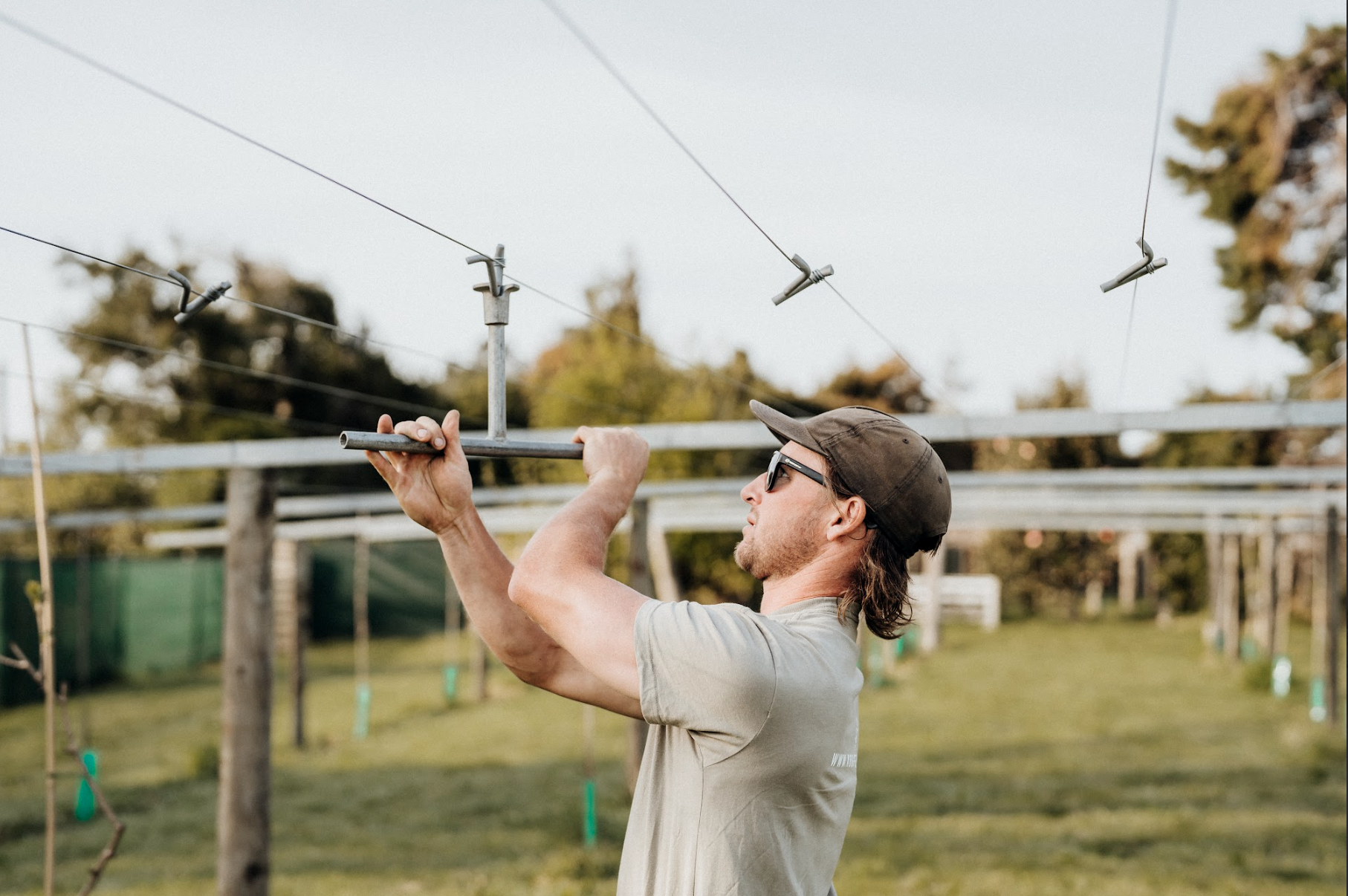 A kos fencing employee repairing and maintaining a kiwifruit orchard wire canopy in bay of plenty