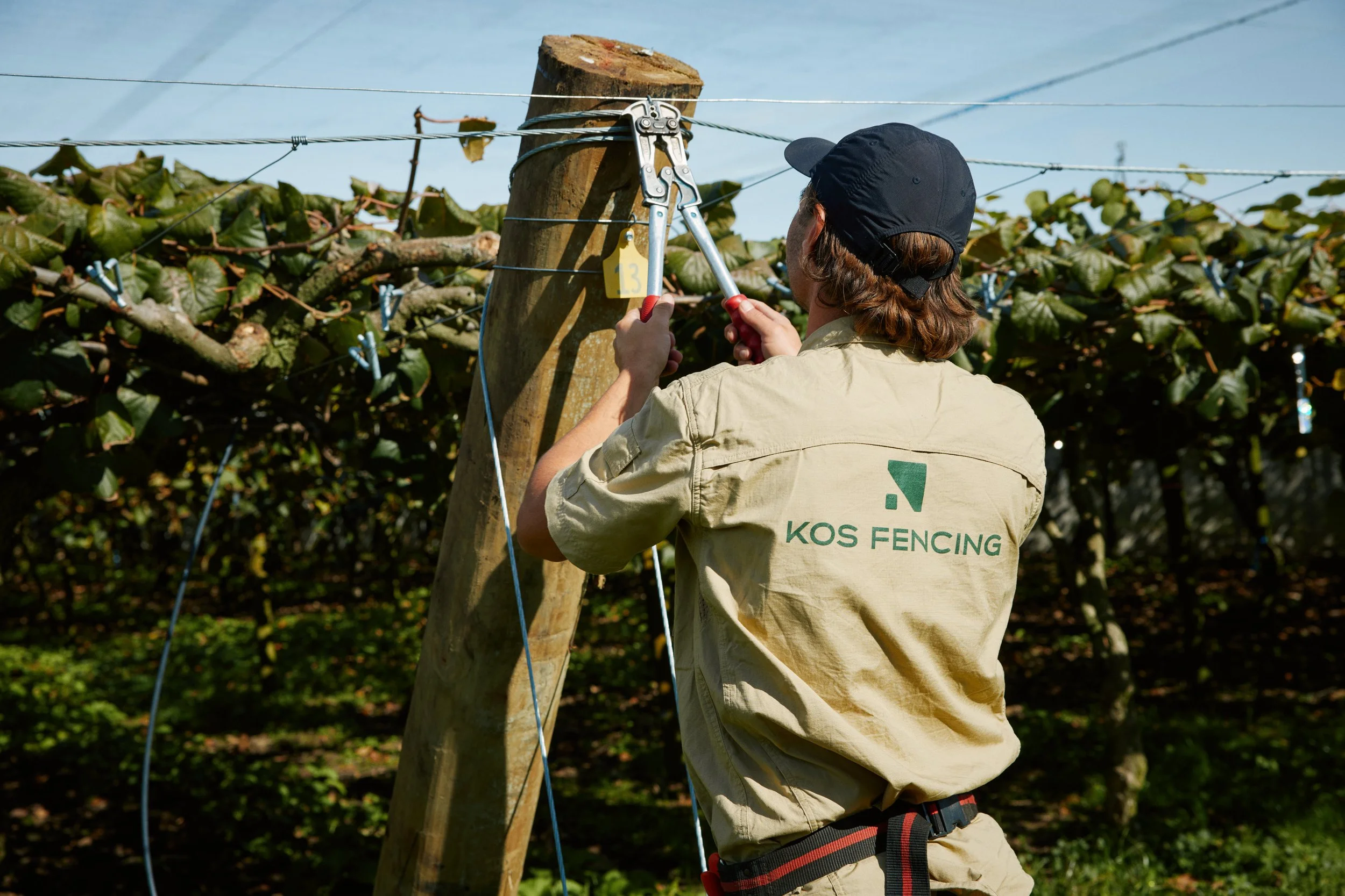 A person wearing a black cap and beige shirt labeled 'KOS FENCING' is using bolt cutters to cut through a wire fence near a wooden fence post in a vineyard.