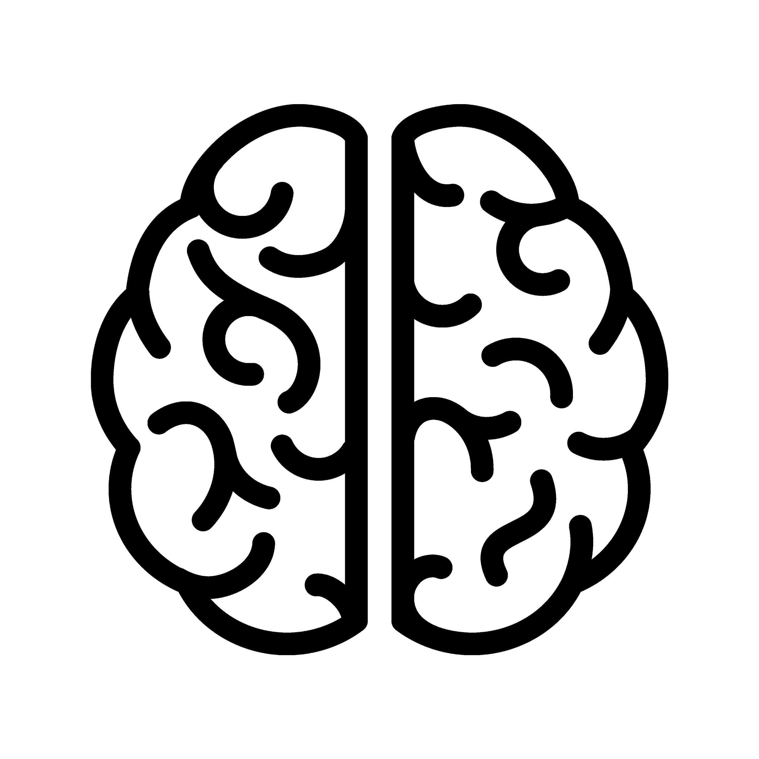 Outline of a human brain with symmetrical left and right hemispheres.