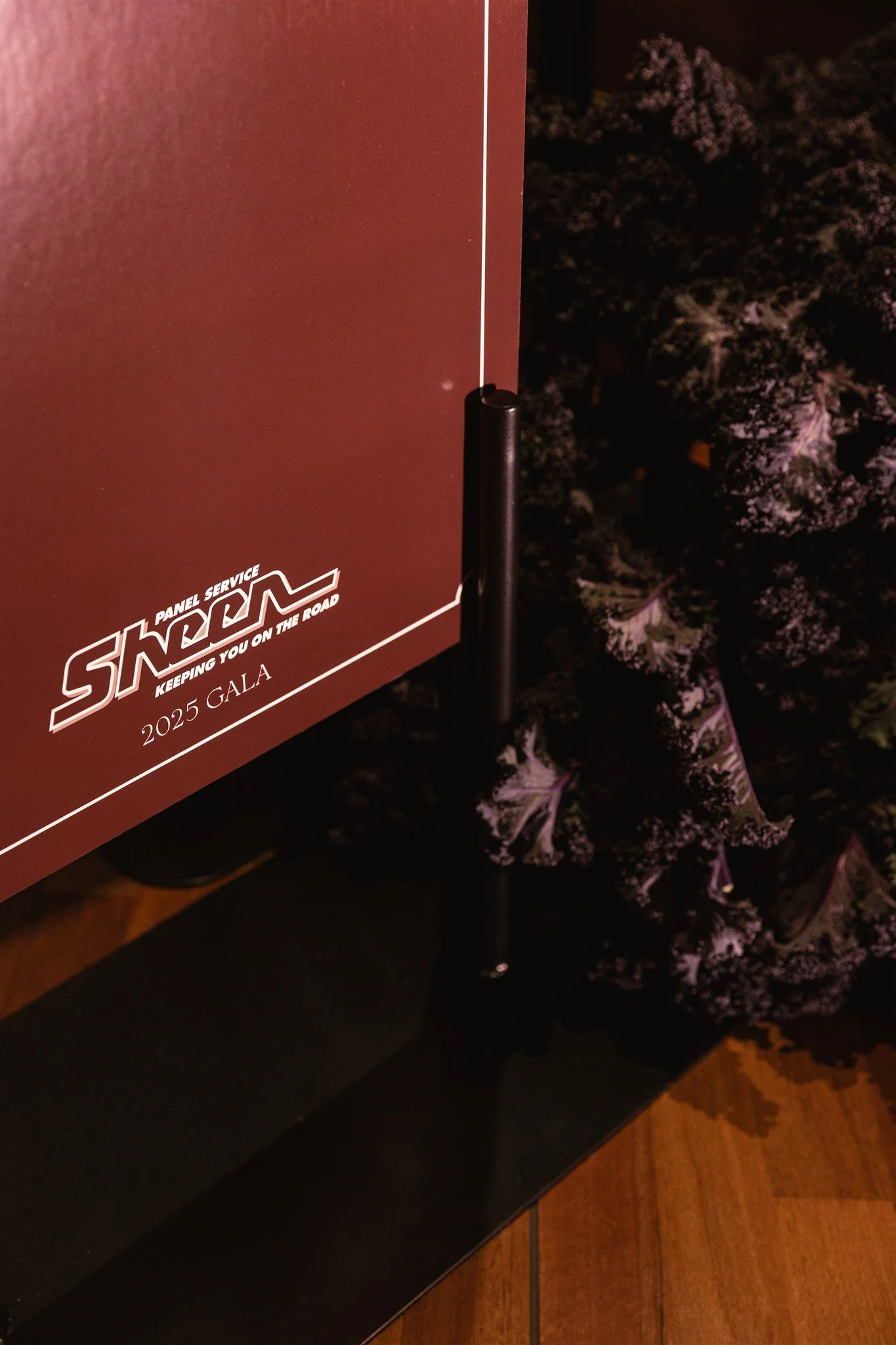 BOW_Sheen-7.jpg