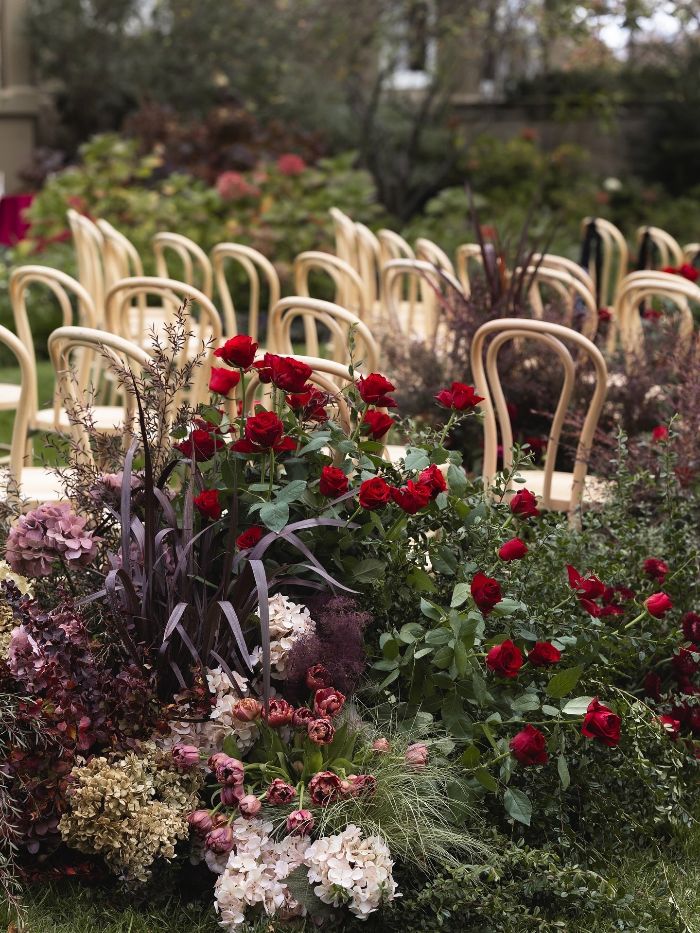 Moody, textural, and rising from the earth - the blooms at Amanda and Adriel&rsquo;s wedding told a story of grounded beauty. ⁠
⁠
From the ceremony garden to the dance floor, blooms threaded their way through the day. Organic in form, rich in depth, 