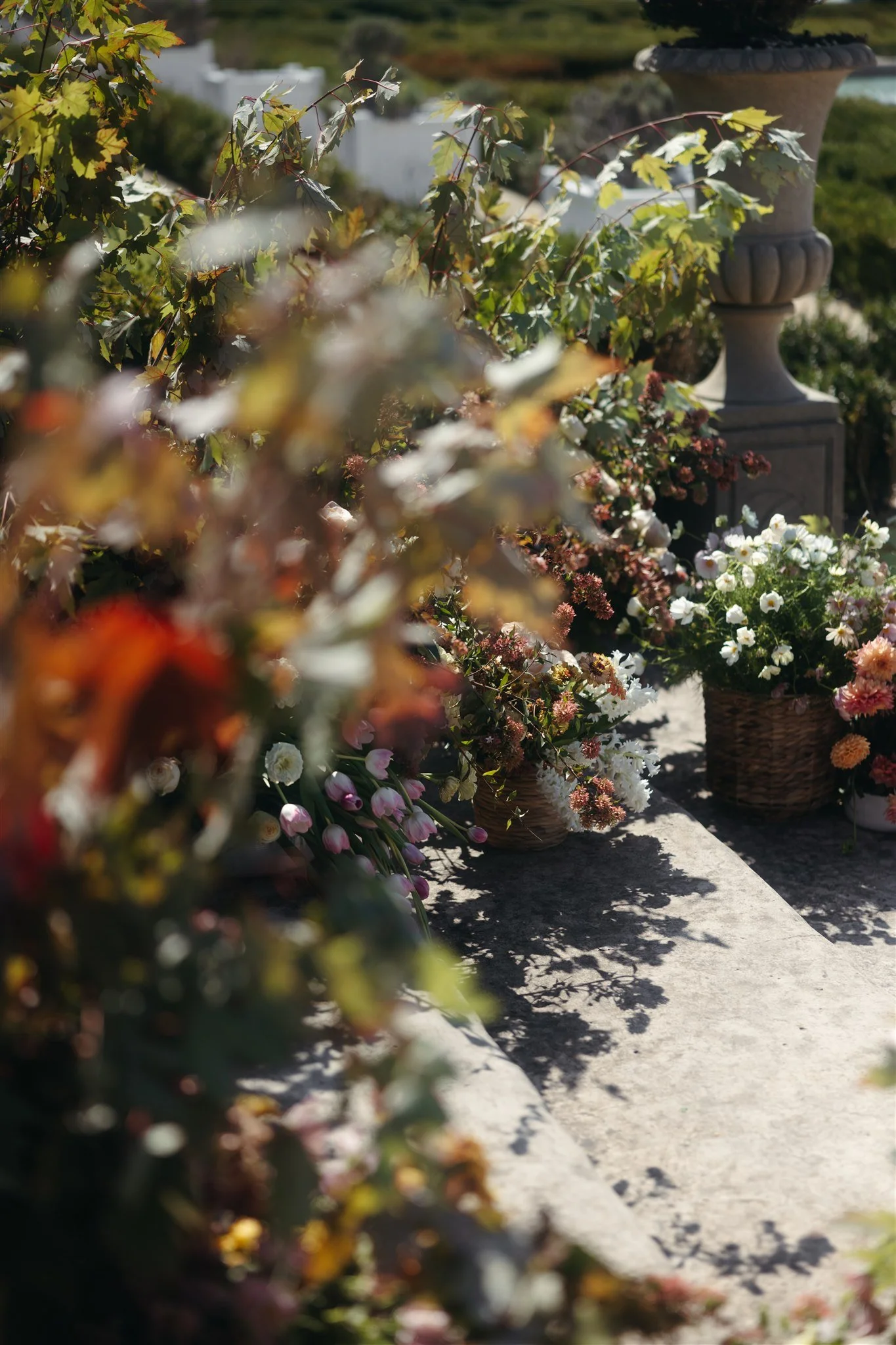 Sunlit garden with various flowers, including pink tulips and white daisies, in decorative baskets.