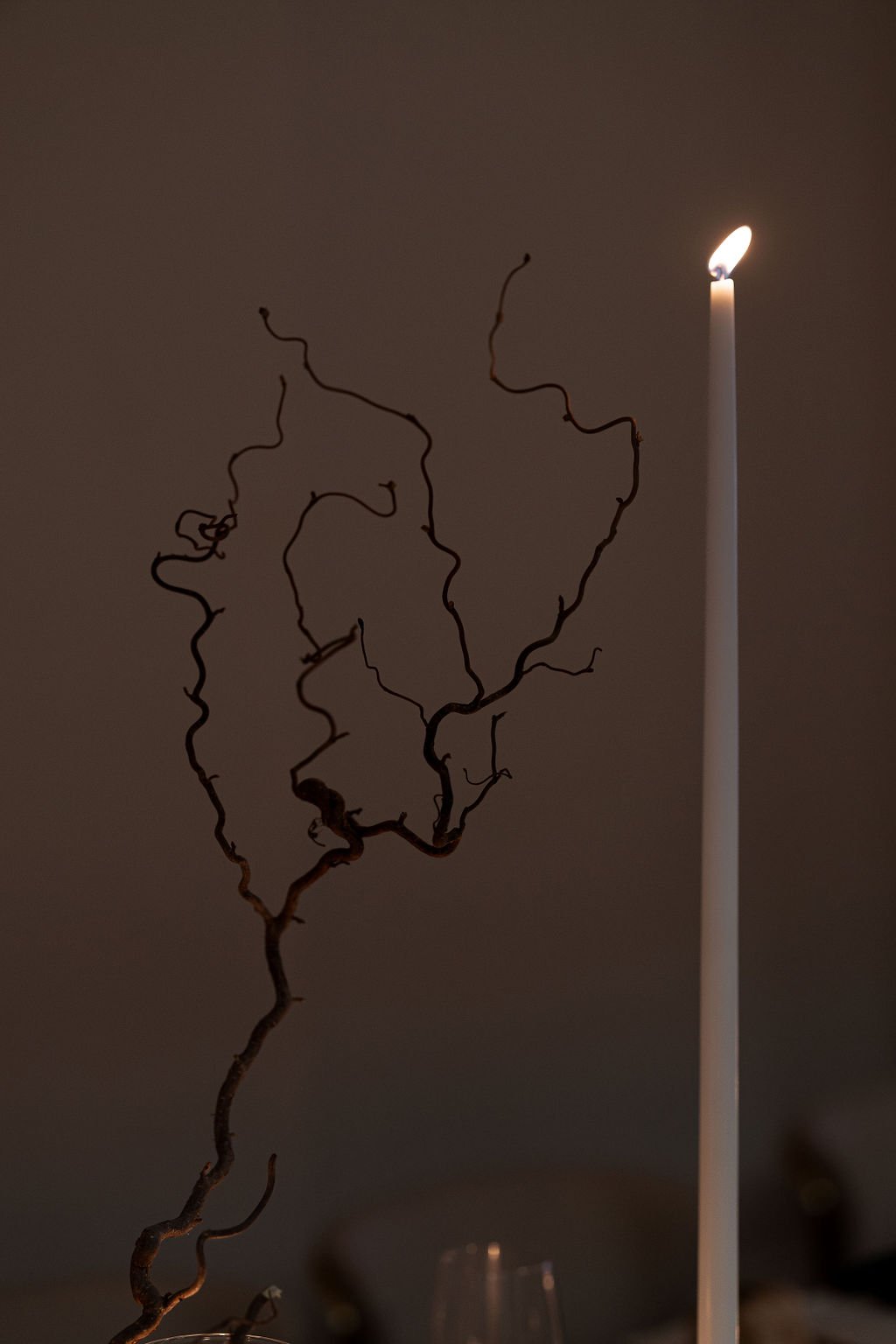A tall, lit candle next to a twisted, bare branch against a dark background.