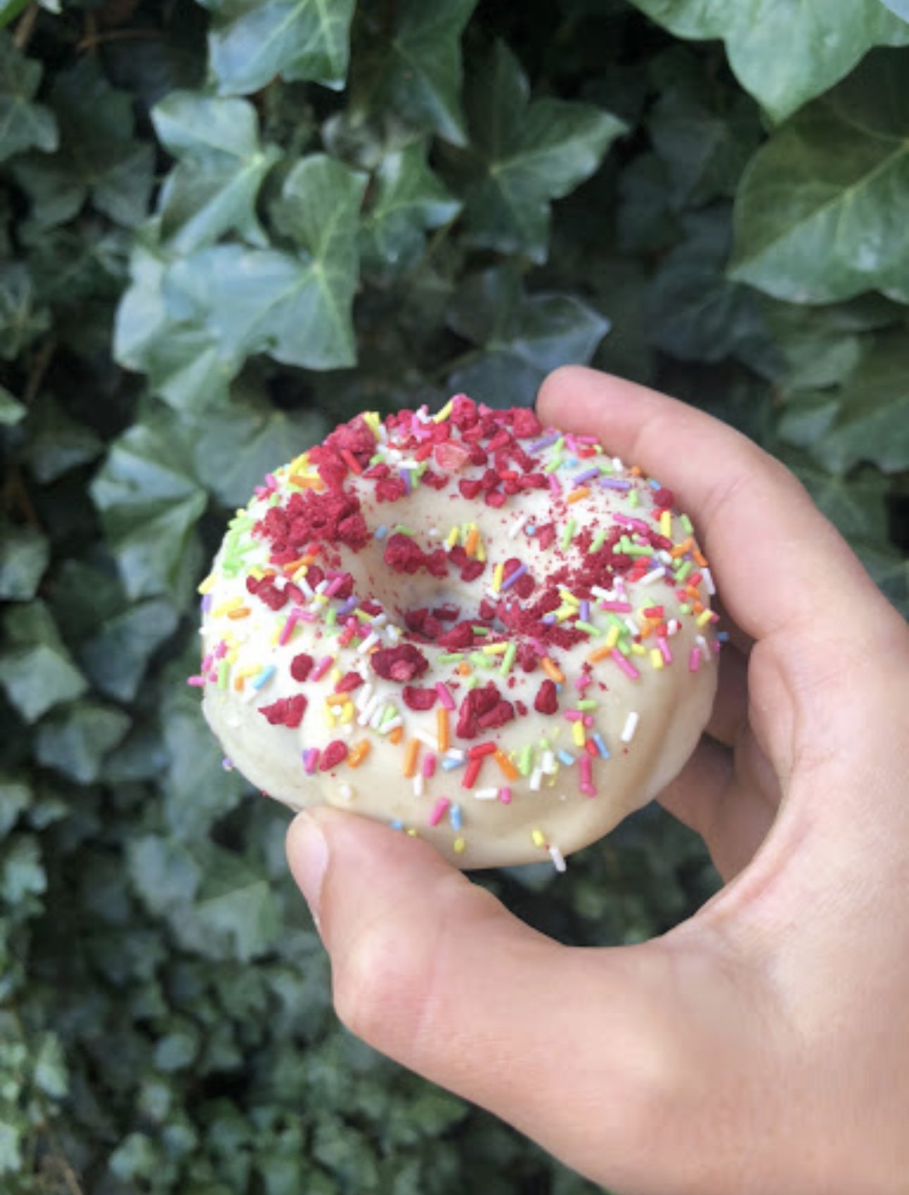 Unicorn Donuts- Half a Dozen