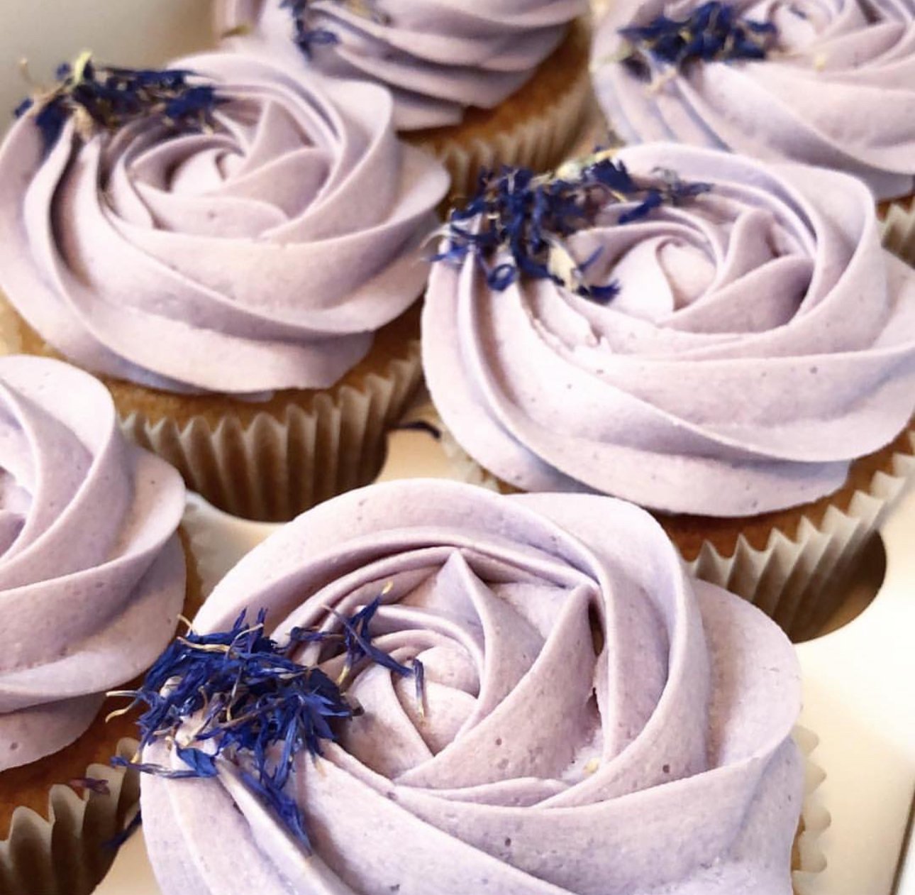 Lady Lavender Cupcakes