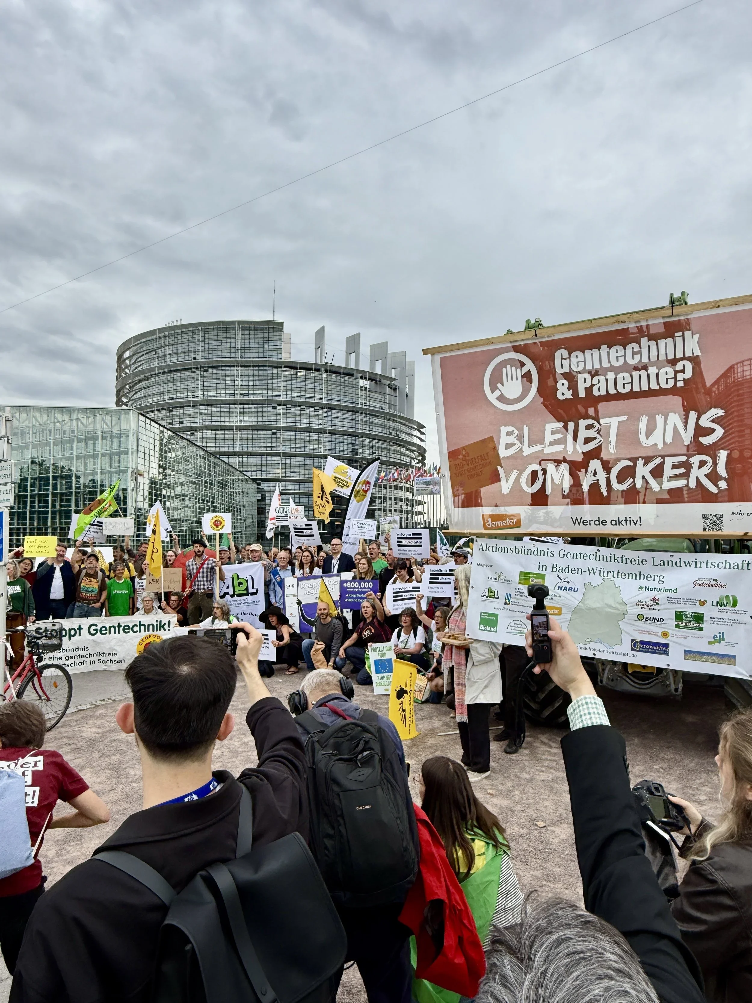 L'UE veut passer à la vitesse supérieure en matière d'OGM