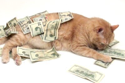 Money and Freelancing