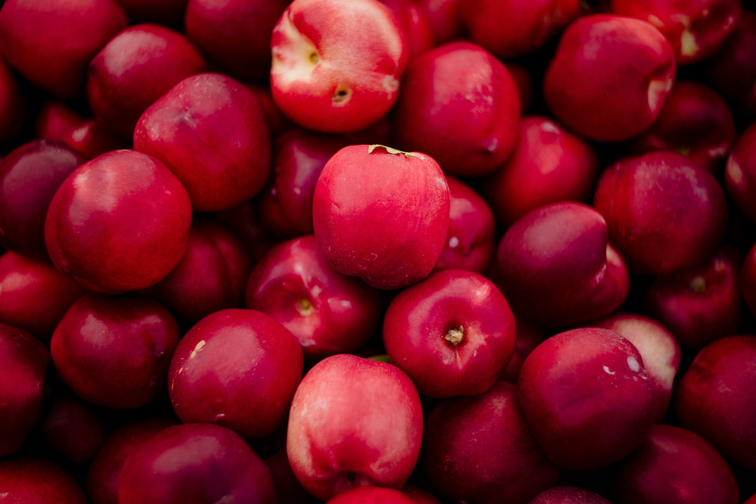 white nectarines