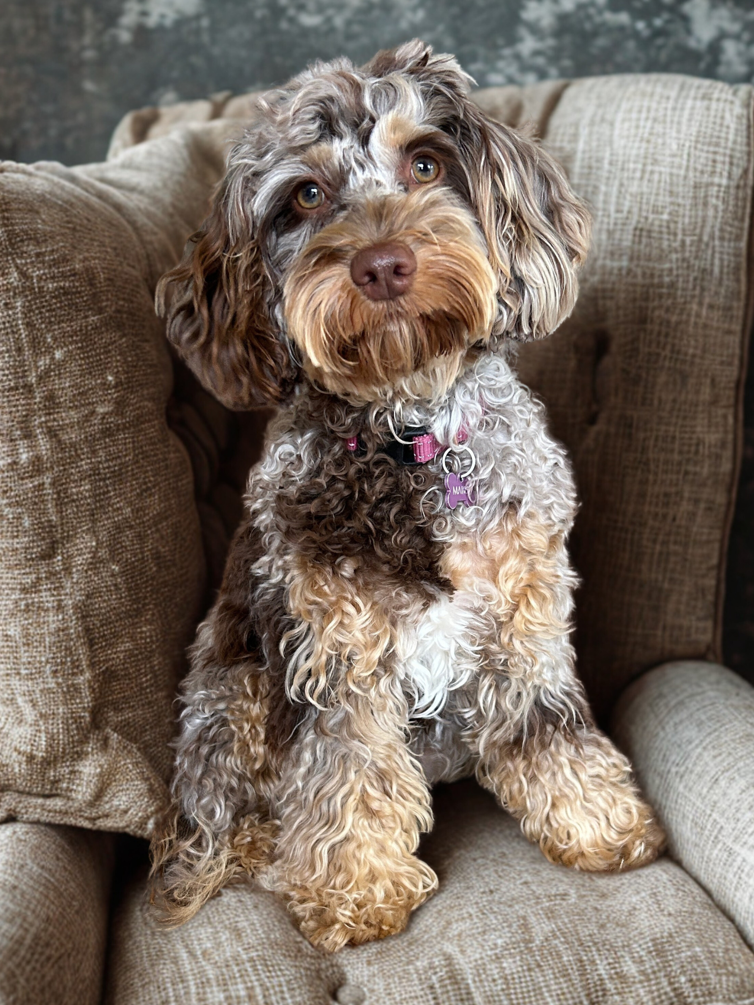 Untitled design.png.png