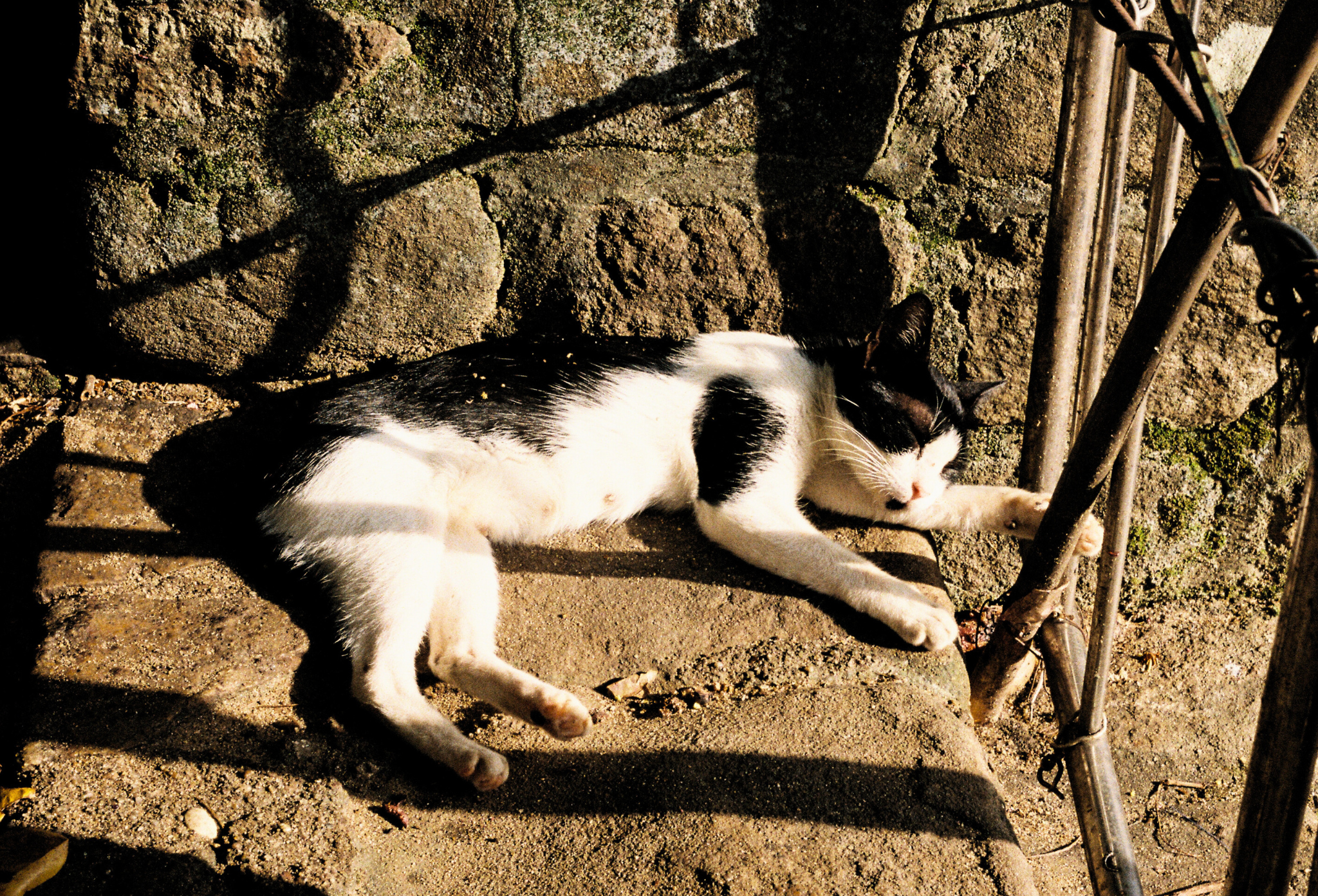 Evening nap