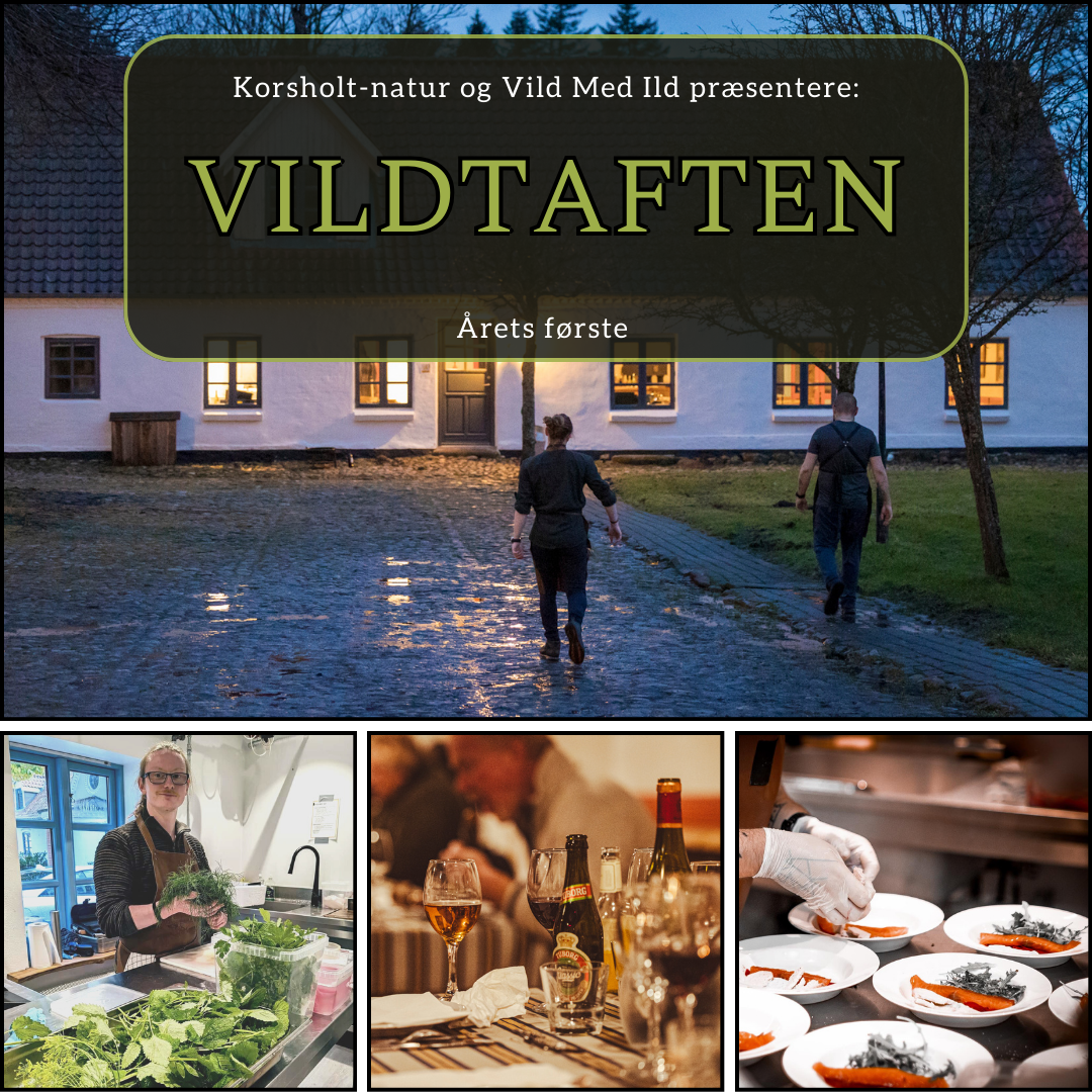 VILDT AFTEN 