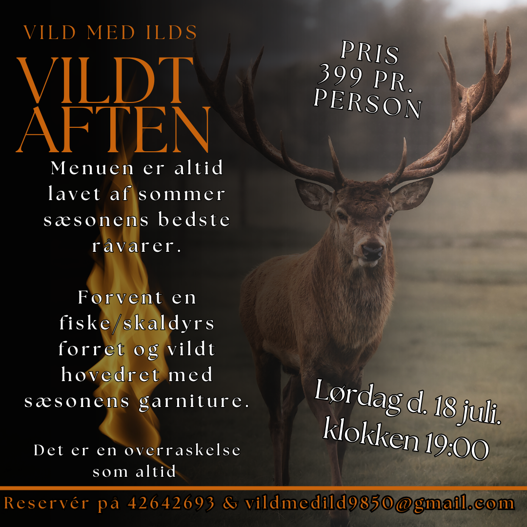 VILDT AFTEN 