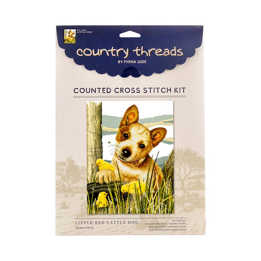 red cattle dog.jpg