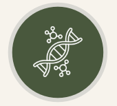 dna.png