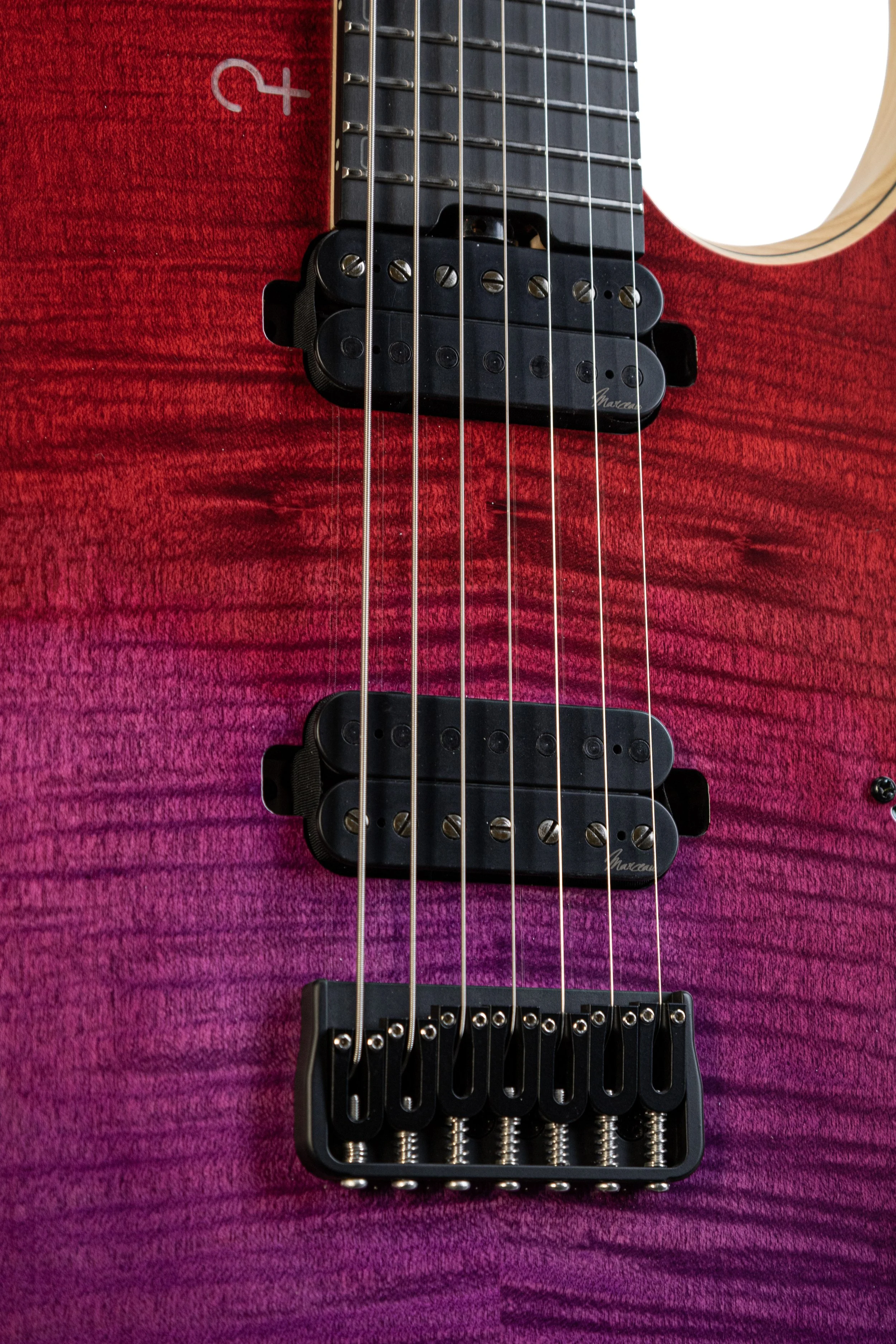 CE0506-6.JPG
