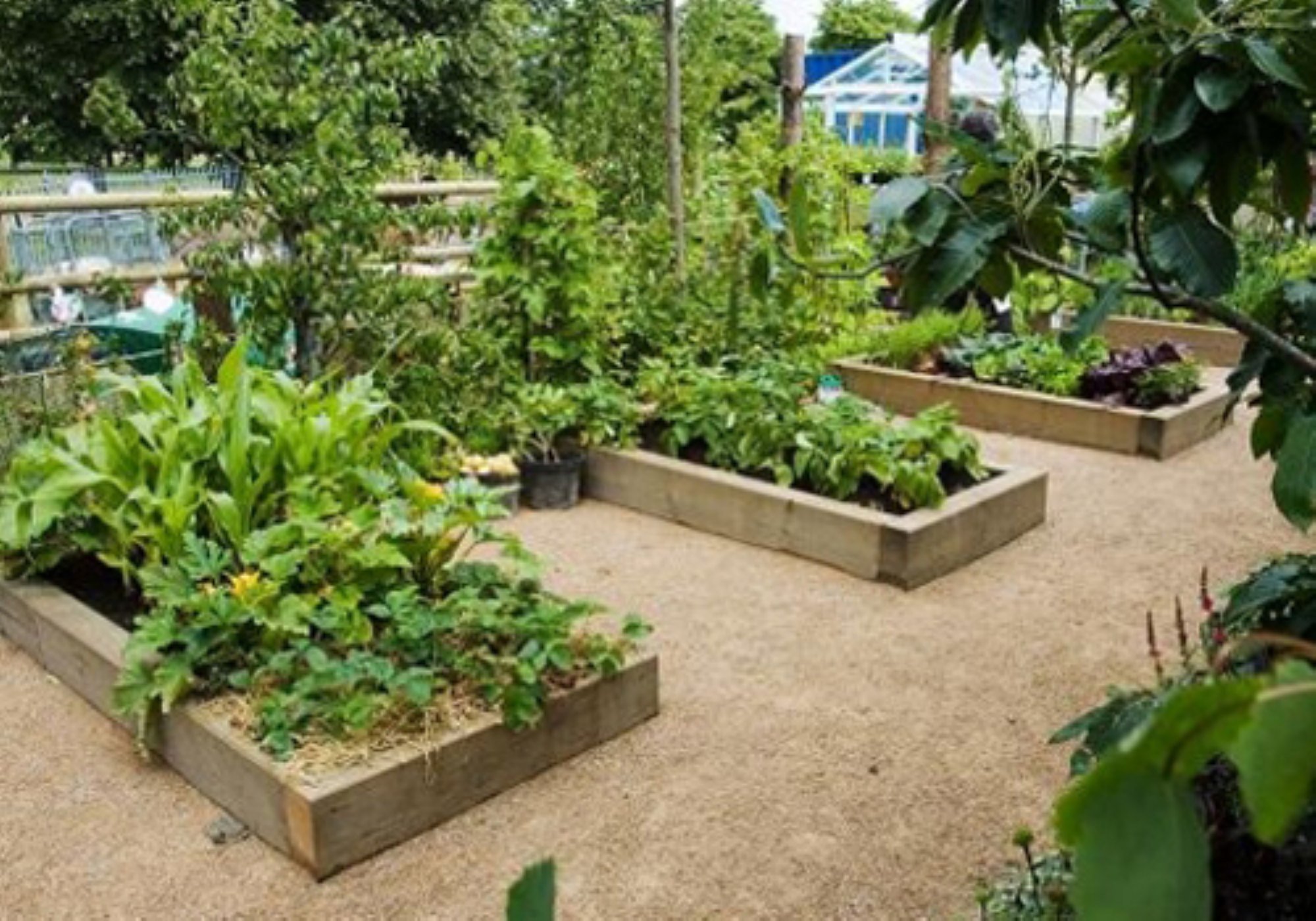 tk-tables-planter-box-ironbark-7.jpg