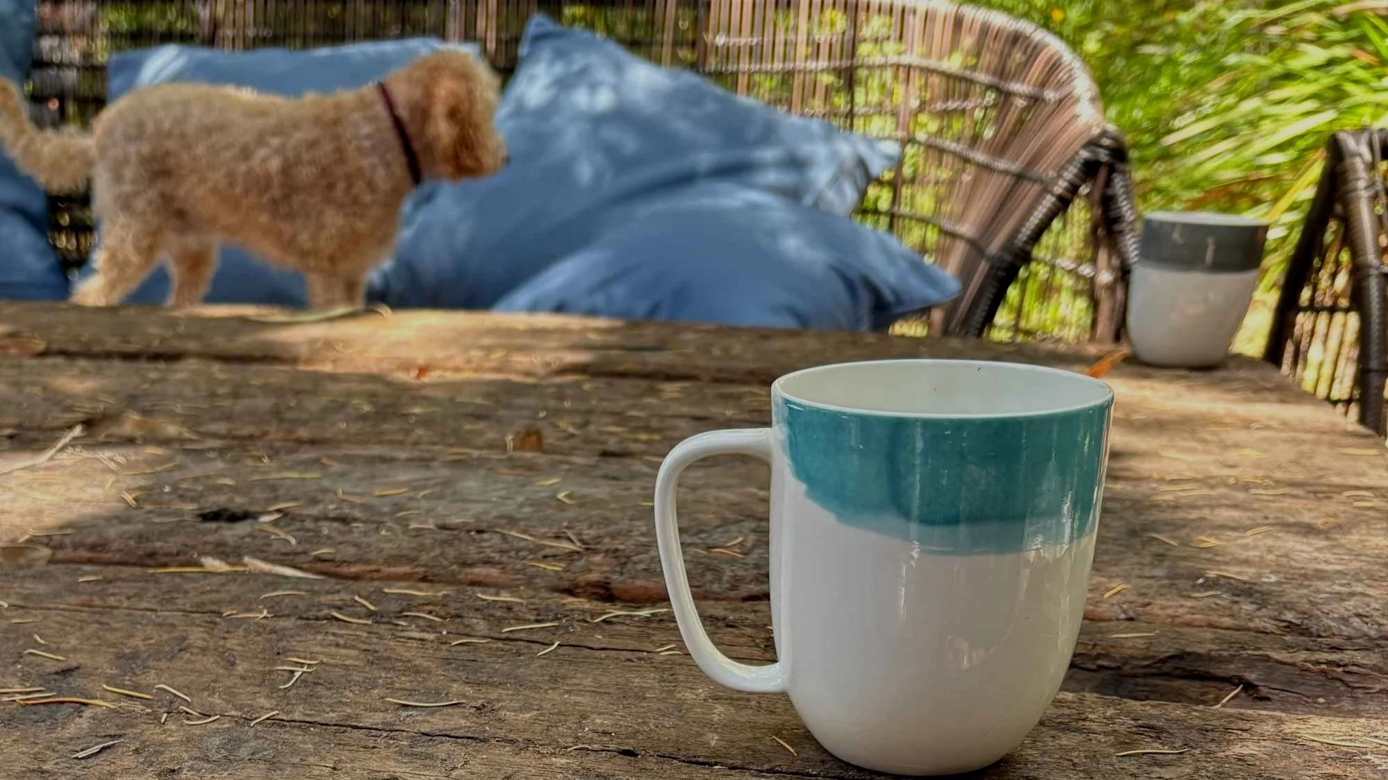 Coffee cup and pet dog around a Rustic TK Table