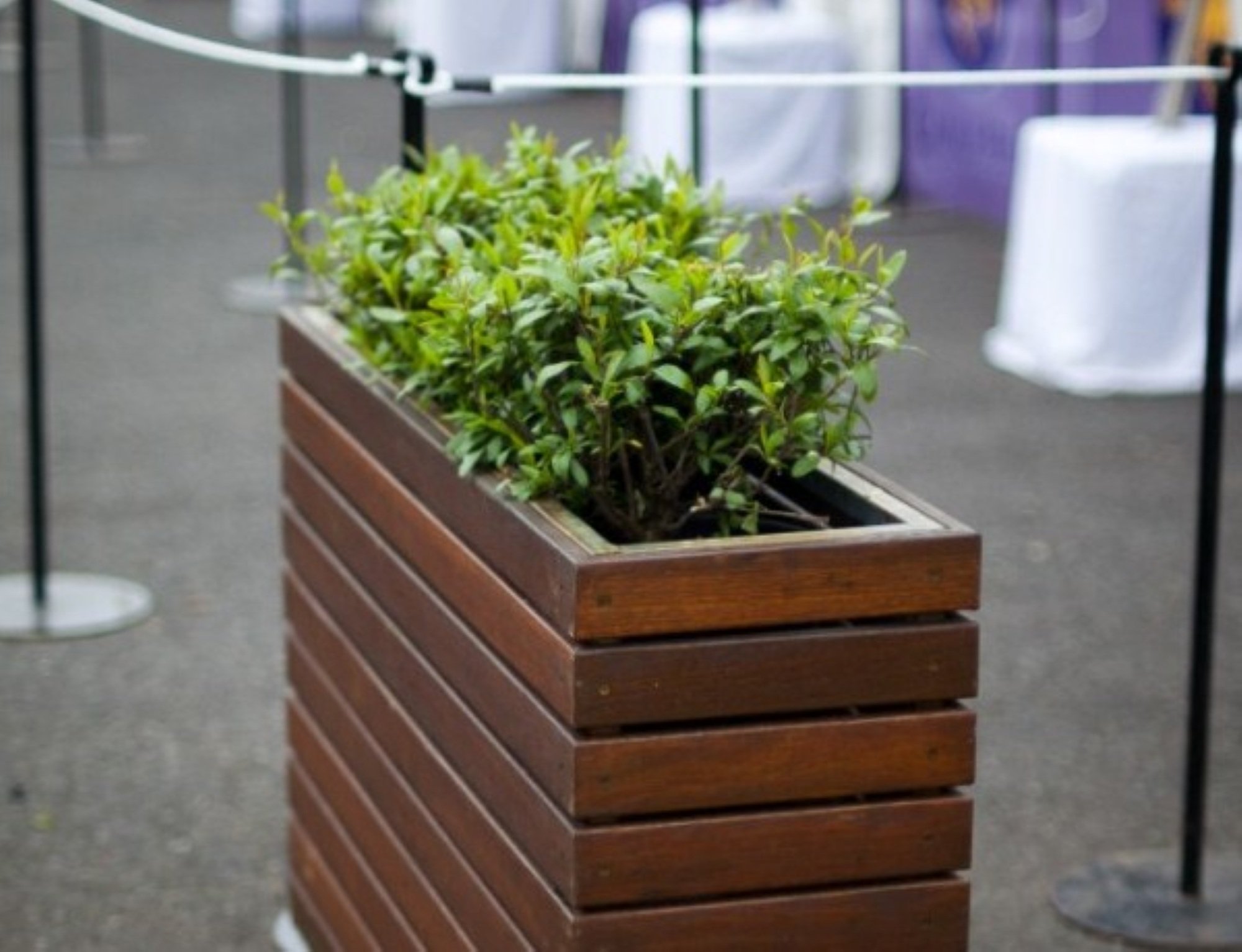tk-tables-merbau-planter-screen-divider.jpg