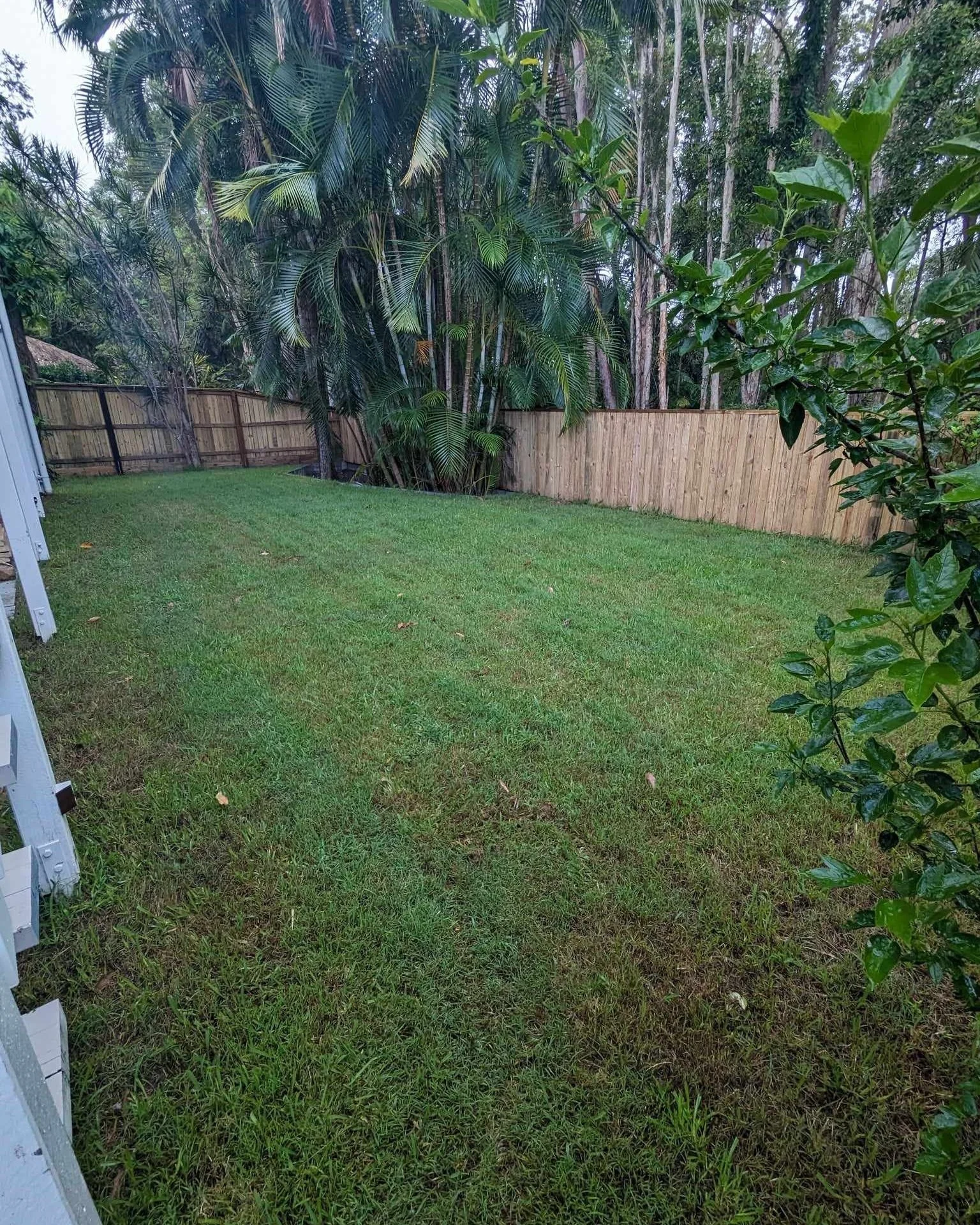 Oranssi project: roof expansion