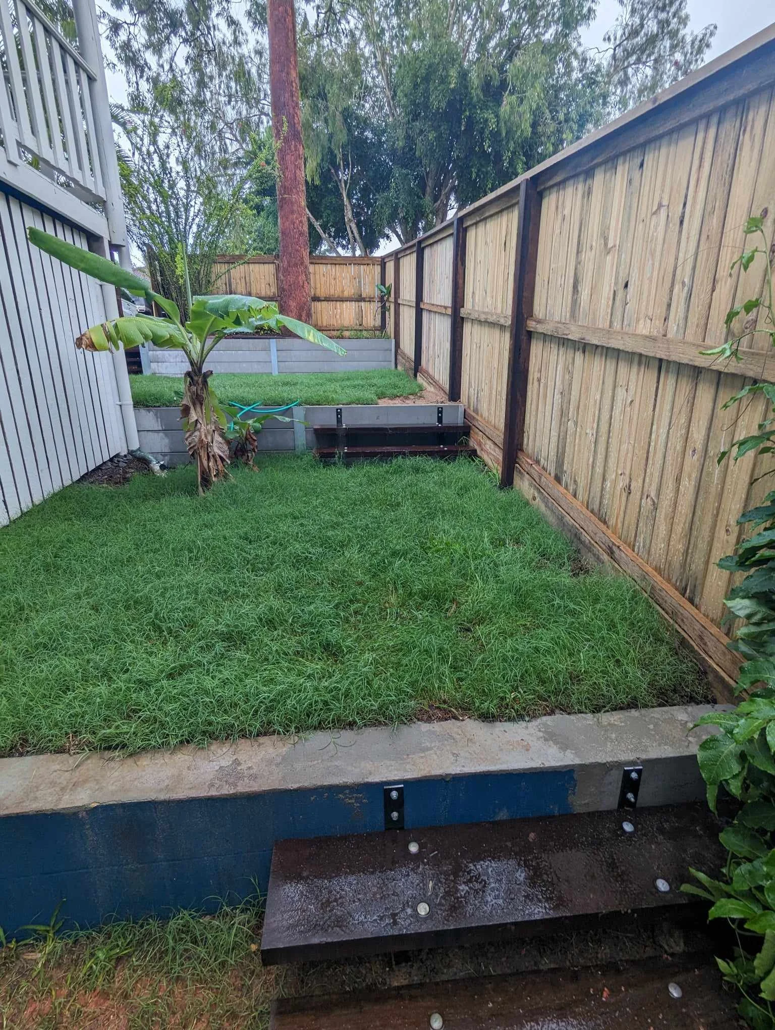 Fenced backyard with a banana plant and grassy area, featuring a wooden step.