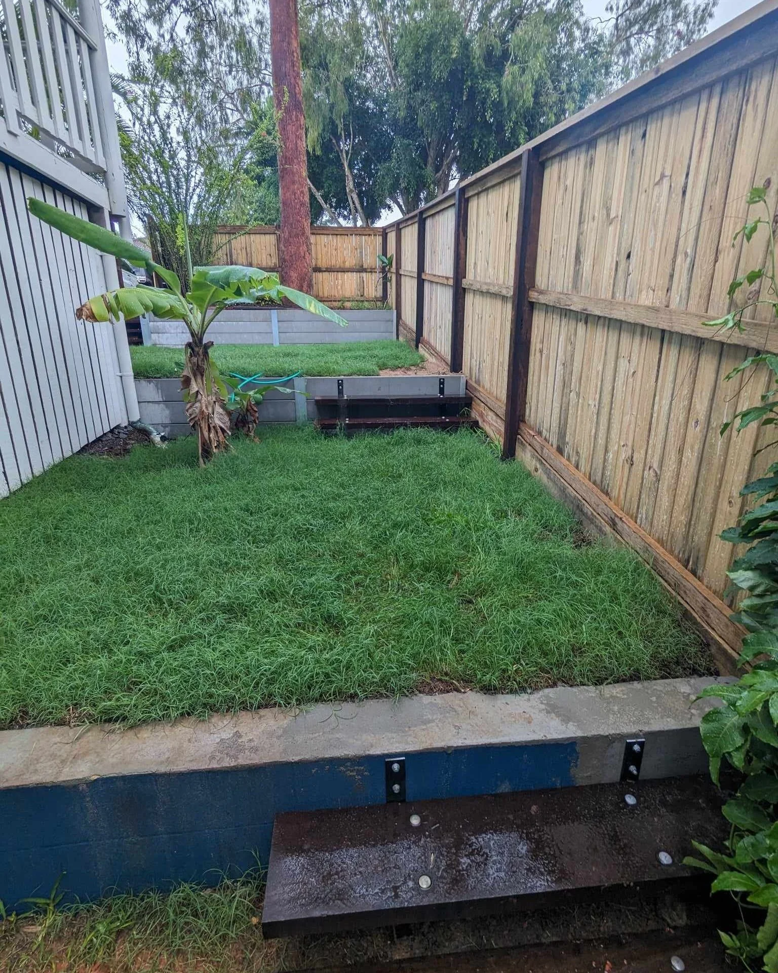 Backyard with grass, a banana plant, wooden steps, and a wooden fence